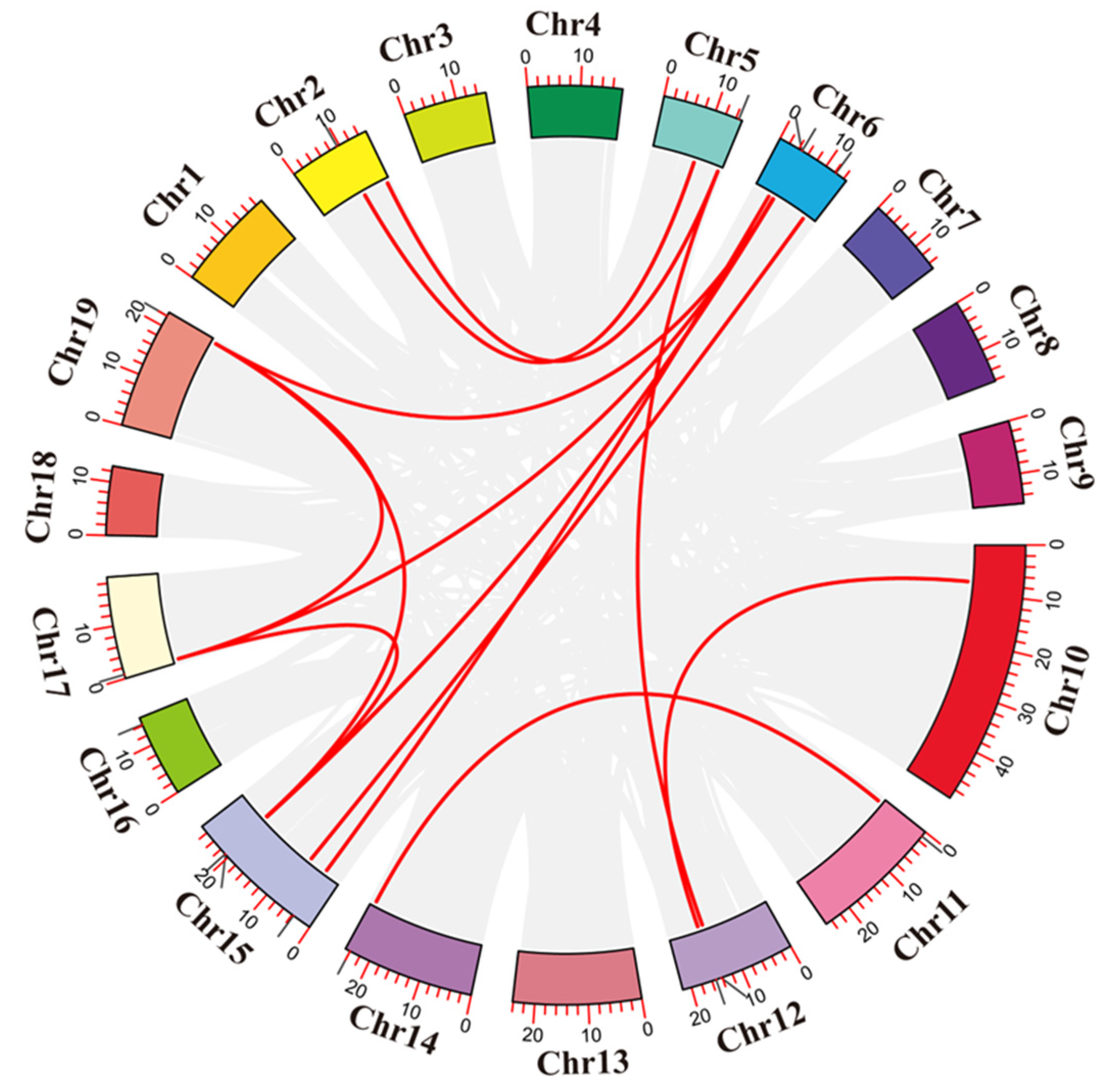 Agronomy 15 01655 g005