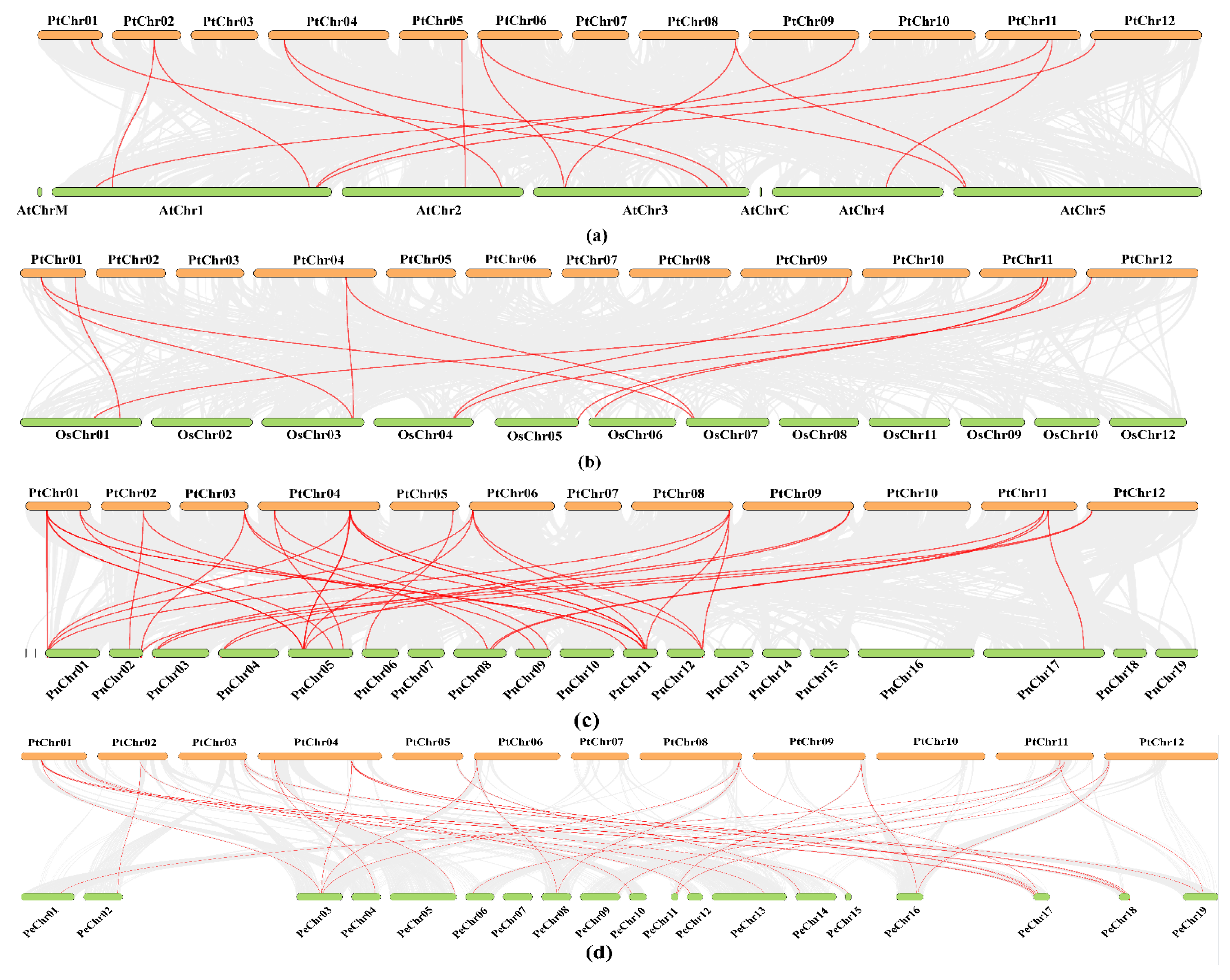 Agronomy 15 01655 g006