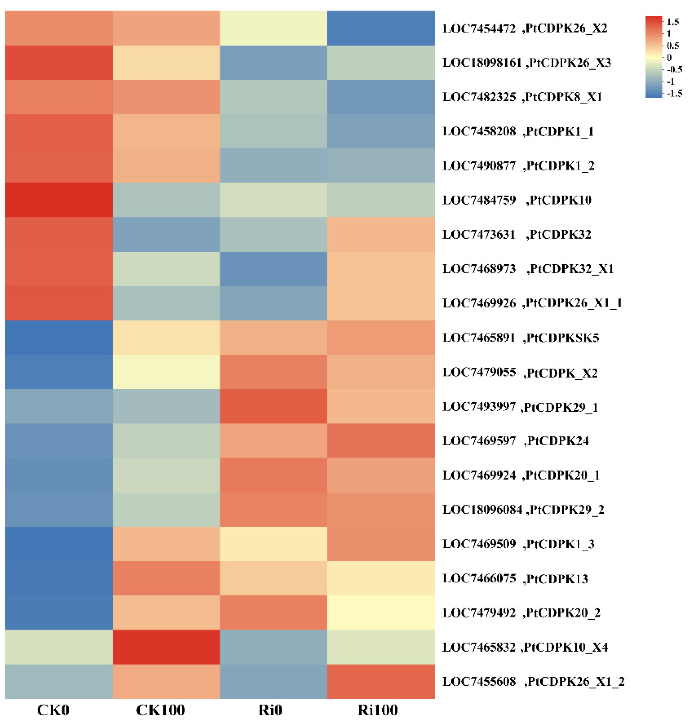 Agronomy 15 01655 g007