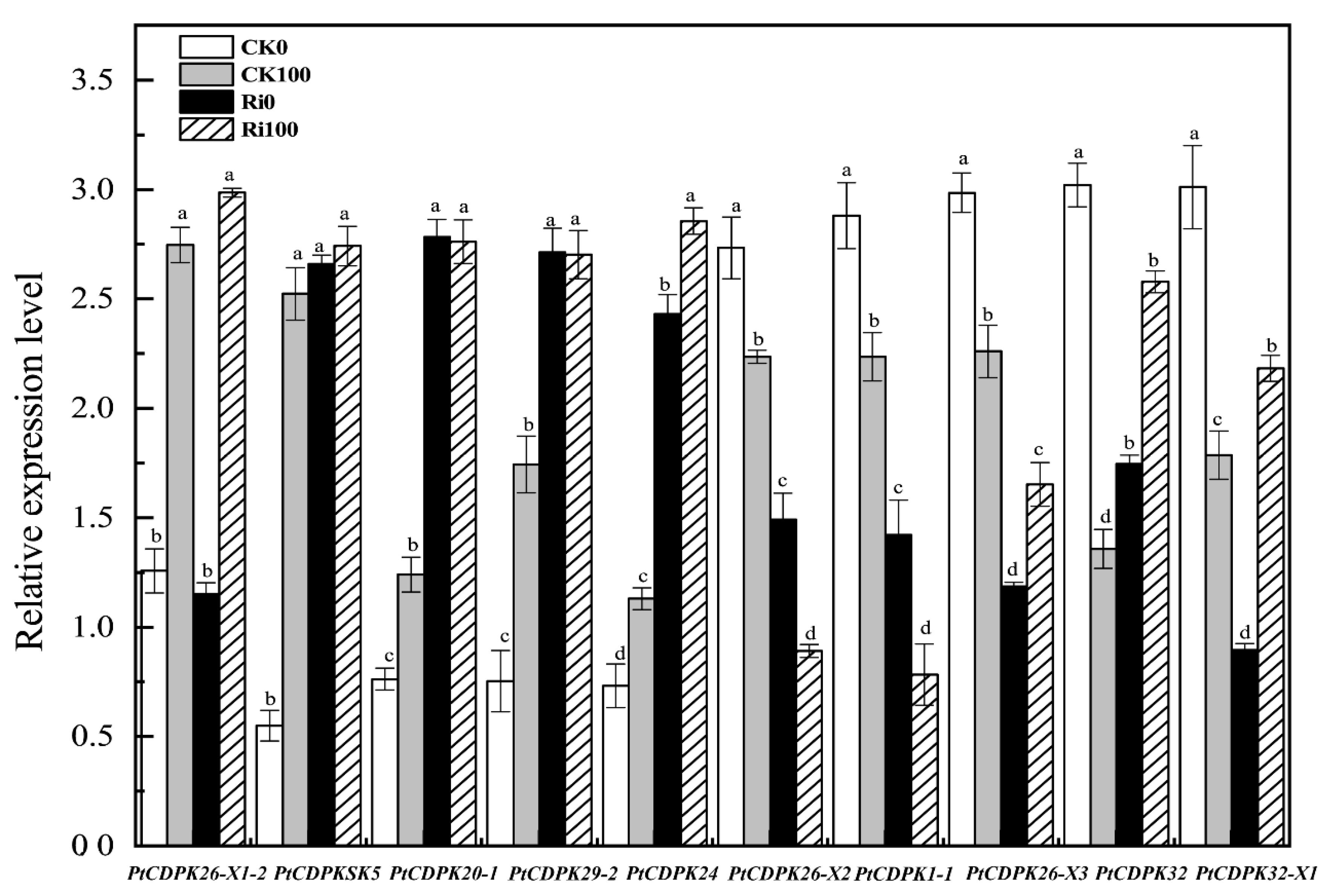 Agronomy 15 01655 g008