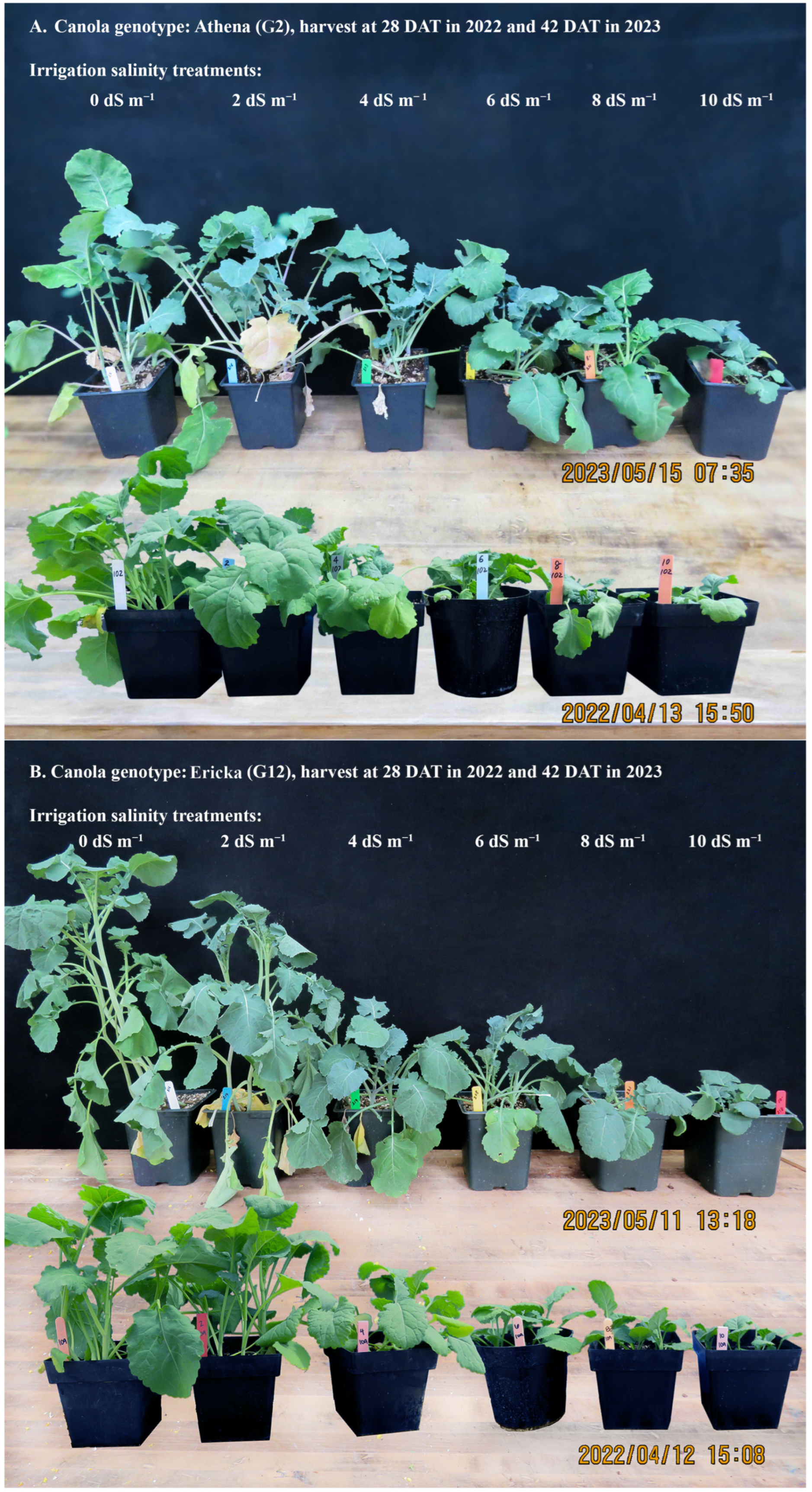 Agronomy 15 01657 g002