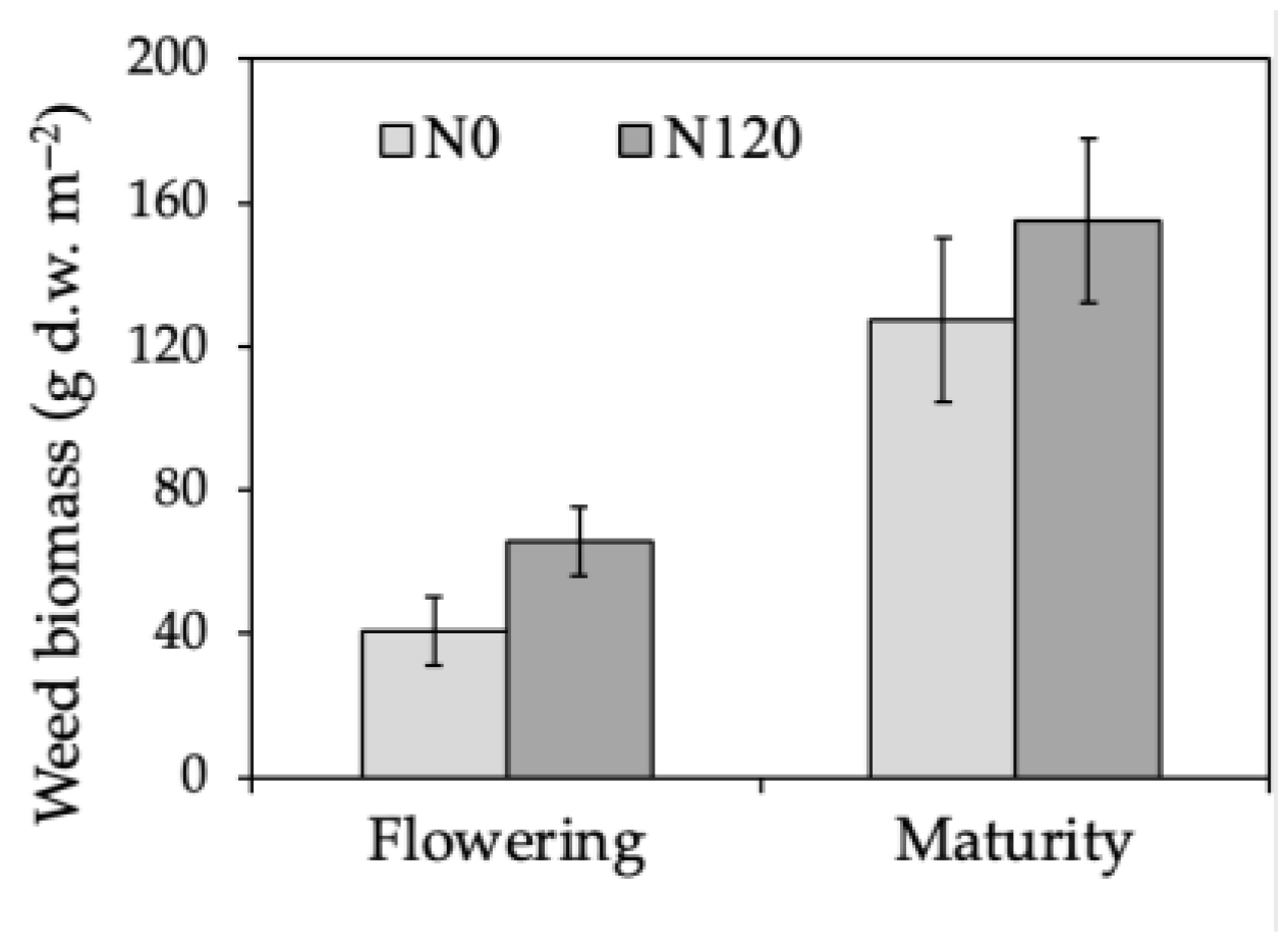 Agronomy 15 01660 g008