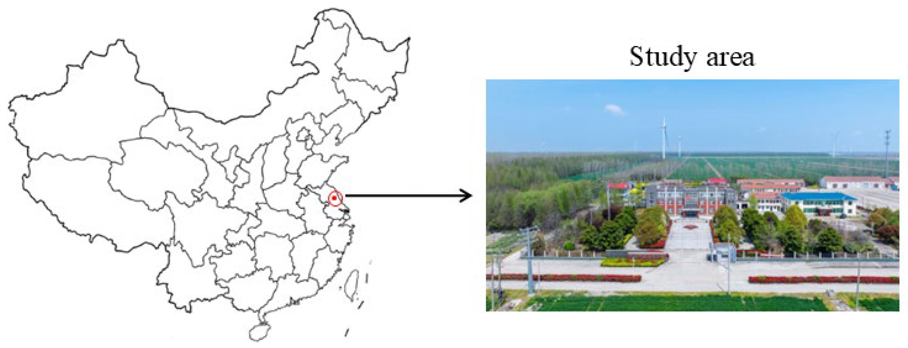 Agronomy 15 01662 g001