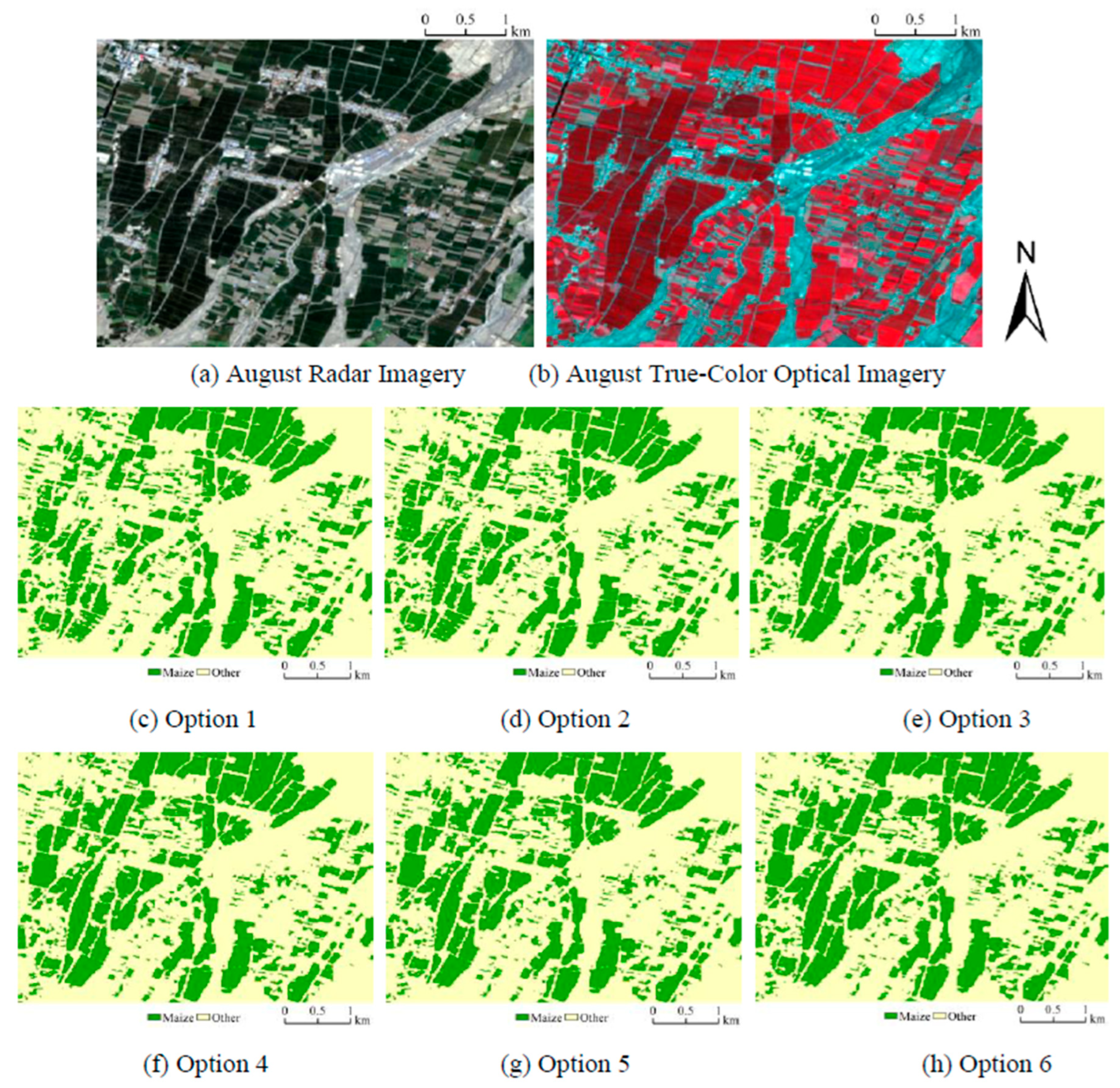 Agronomy 15 01667 g009