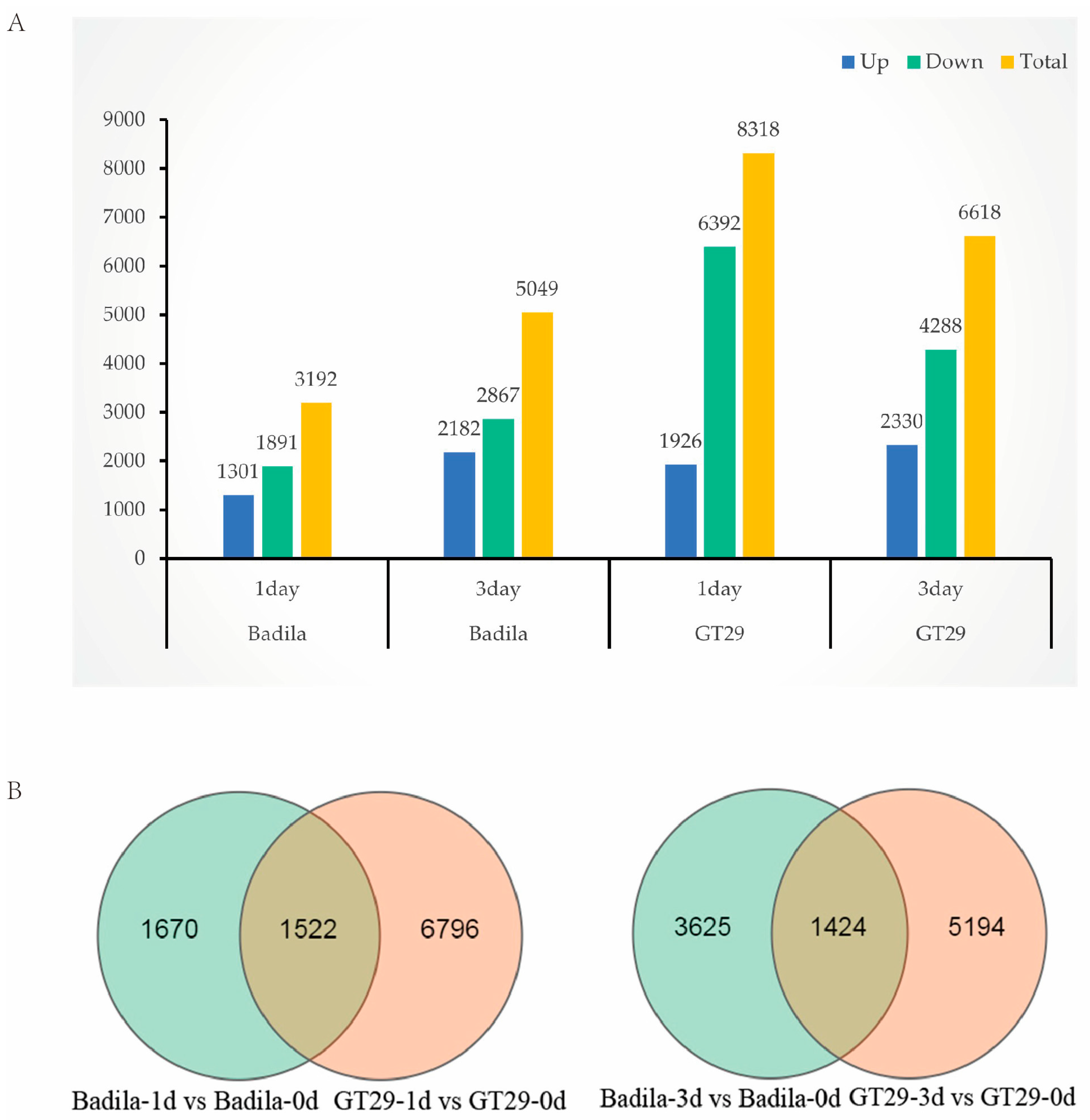 Agronomy 15 01669 g007