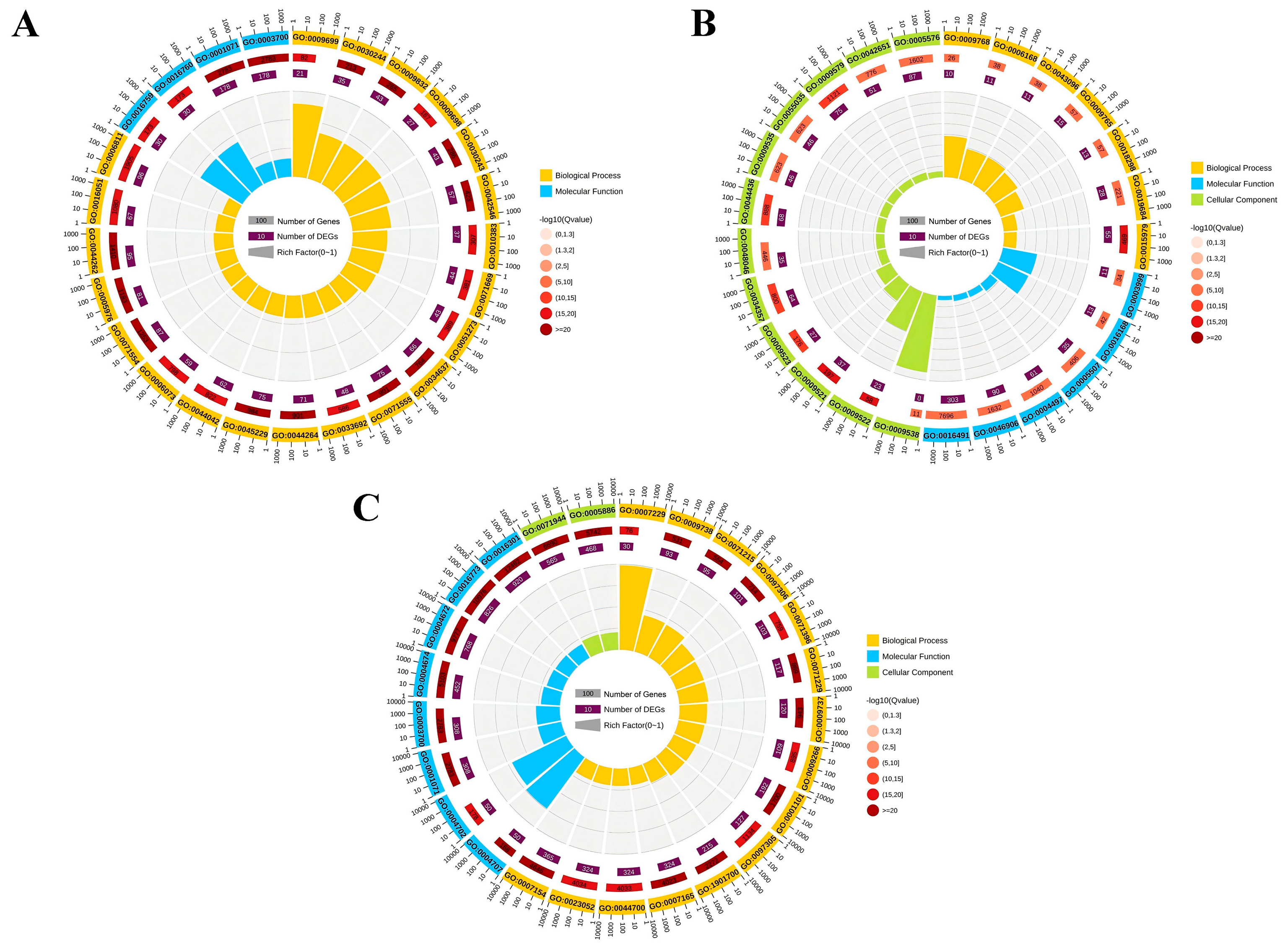 Agronomy 15 01669 g008