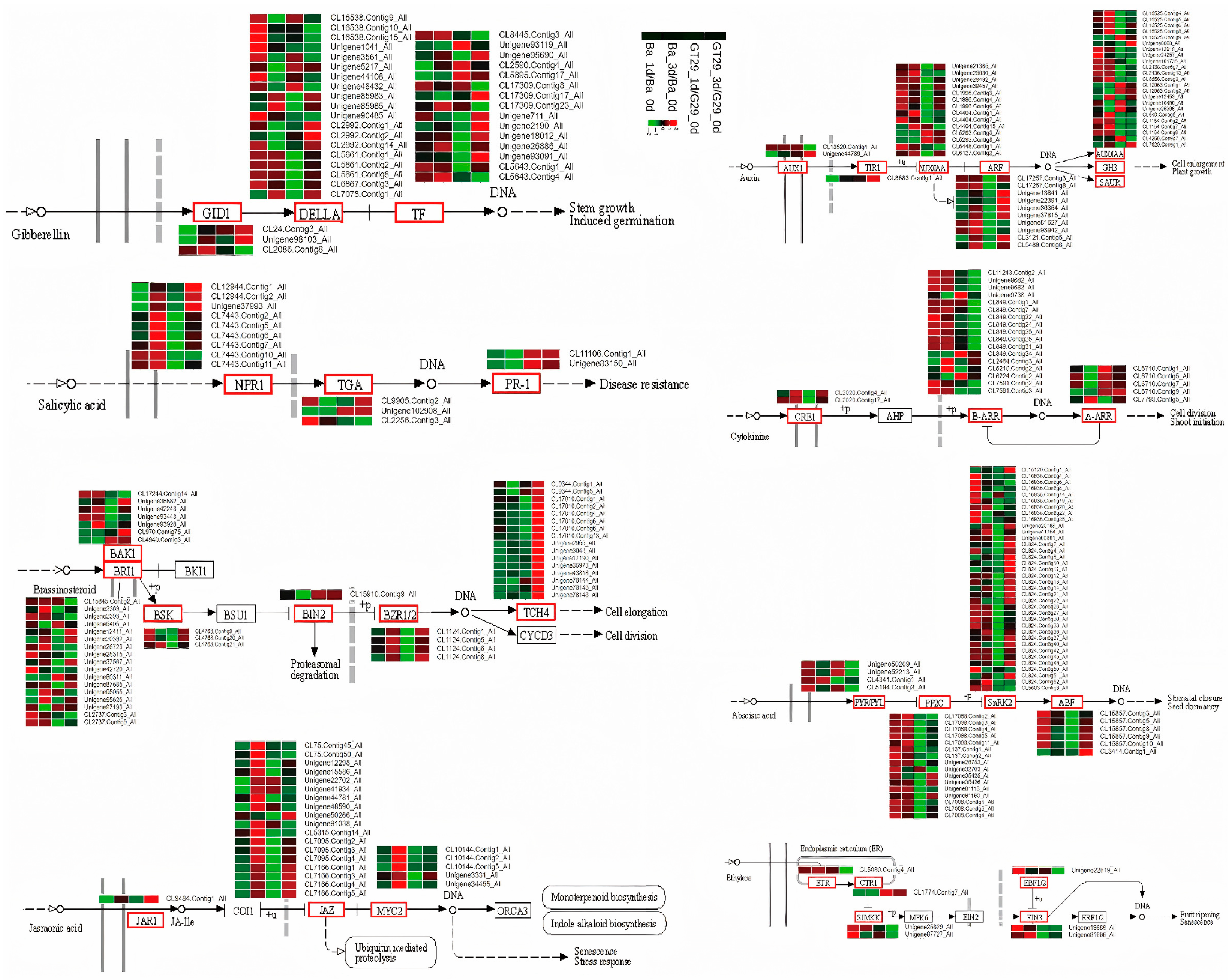 Agronomy 15 01669 g009