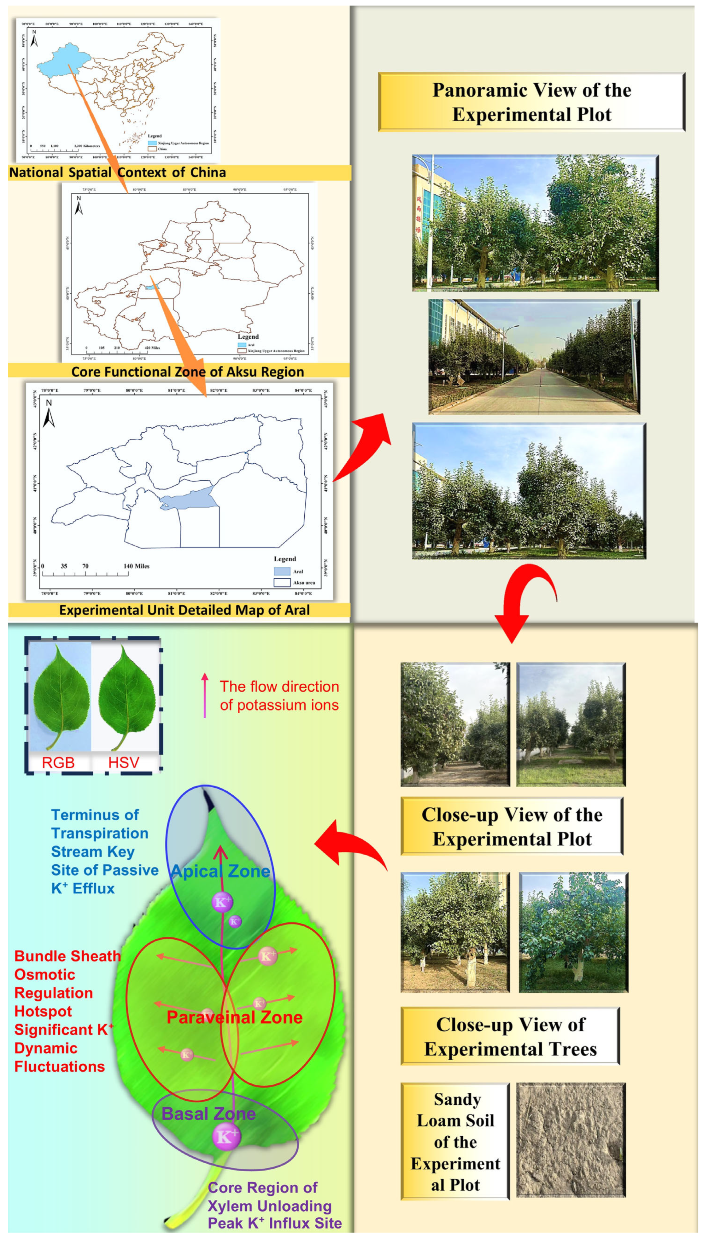 Agronomy 15 01672 g001 Agronomy 15 01672 g001