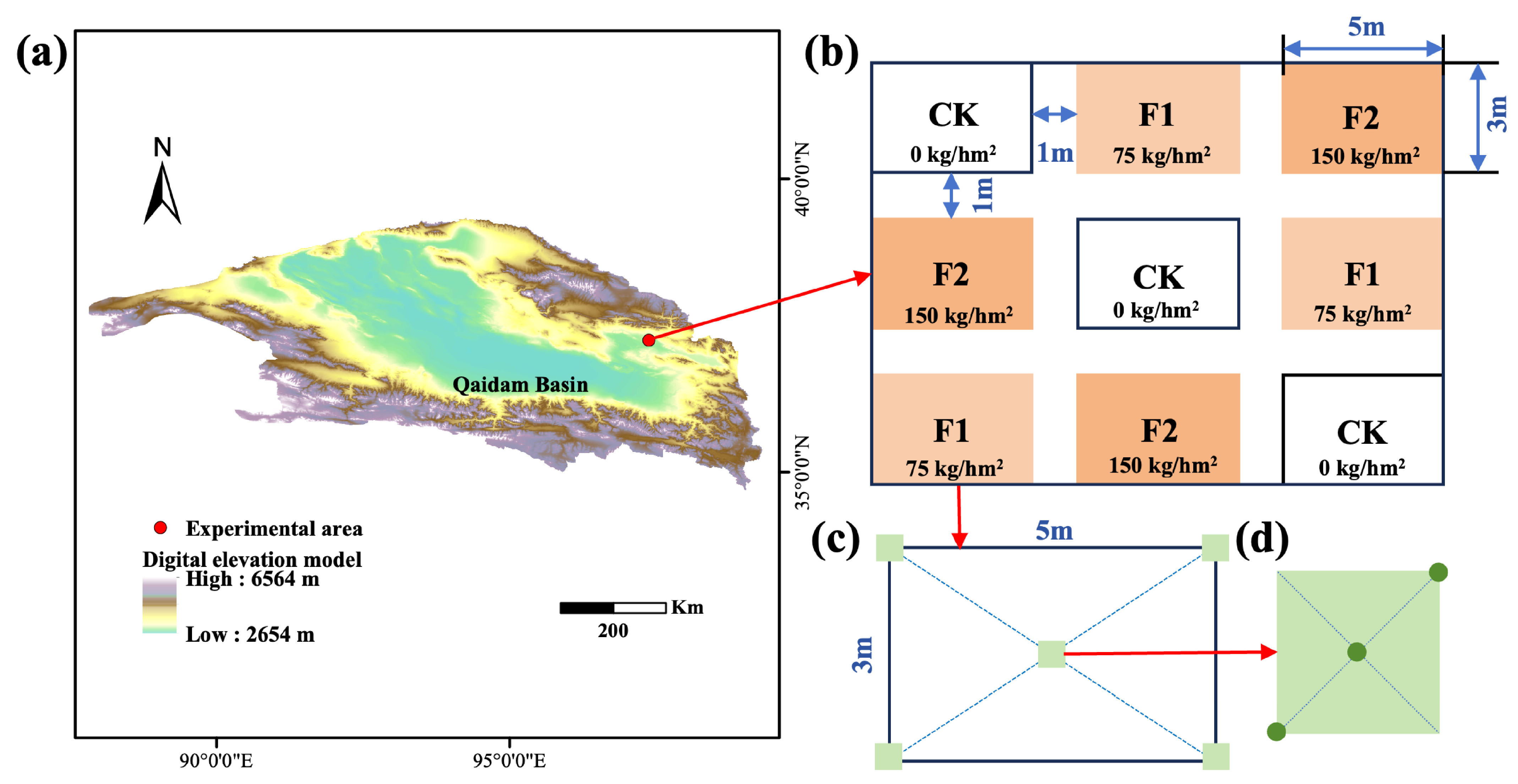 Agronomy 15 01673 g001