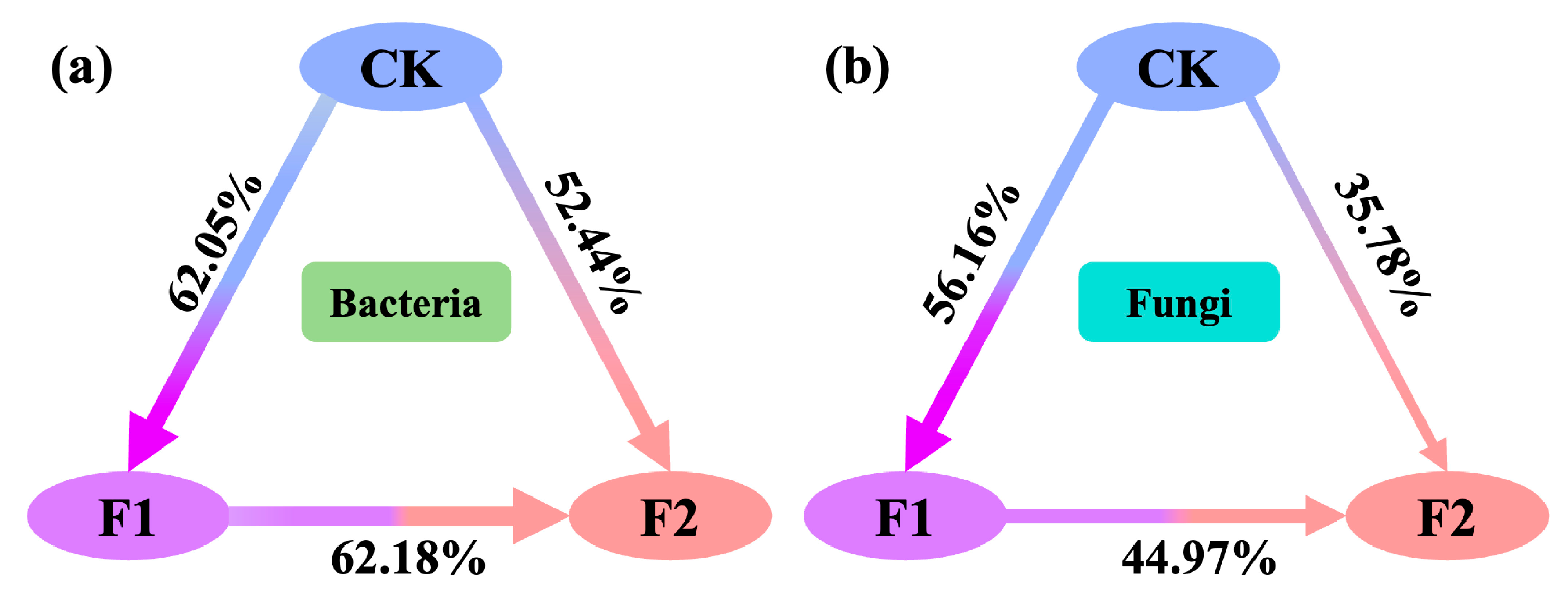 Agronomy 15 01673 g006