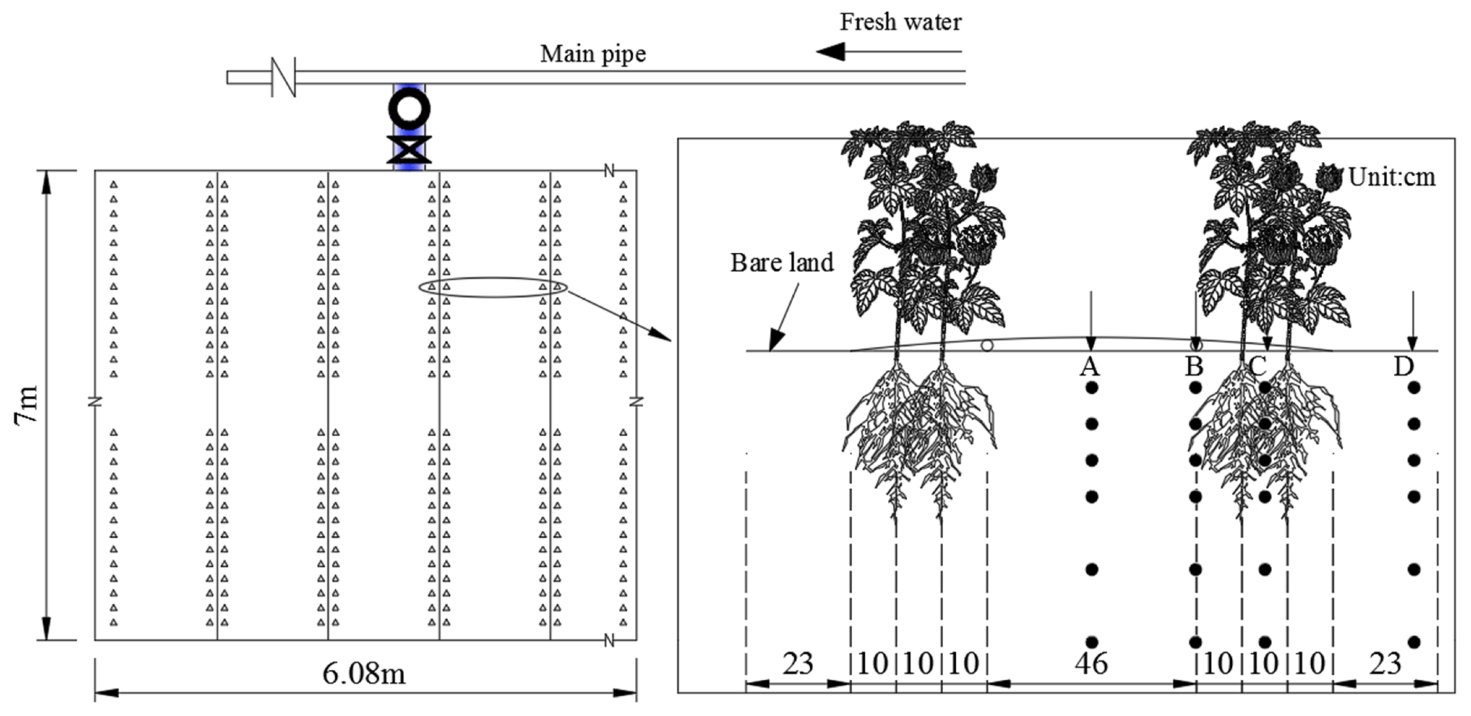 Agronomy 15 01674 g003