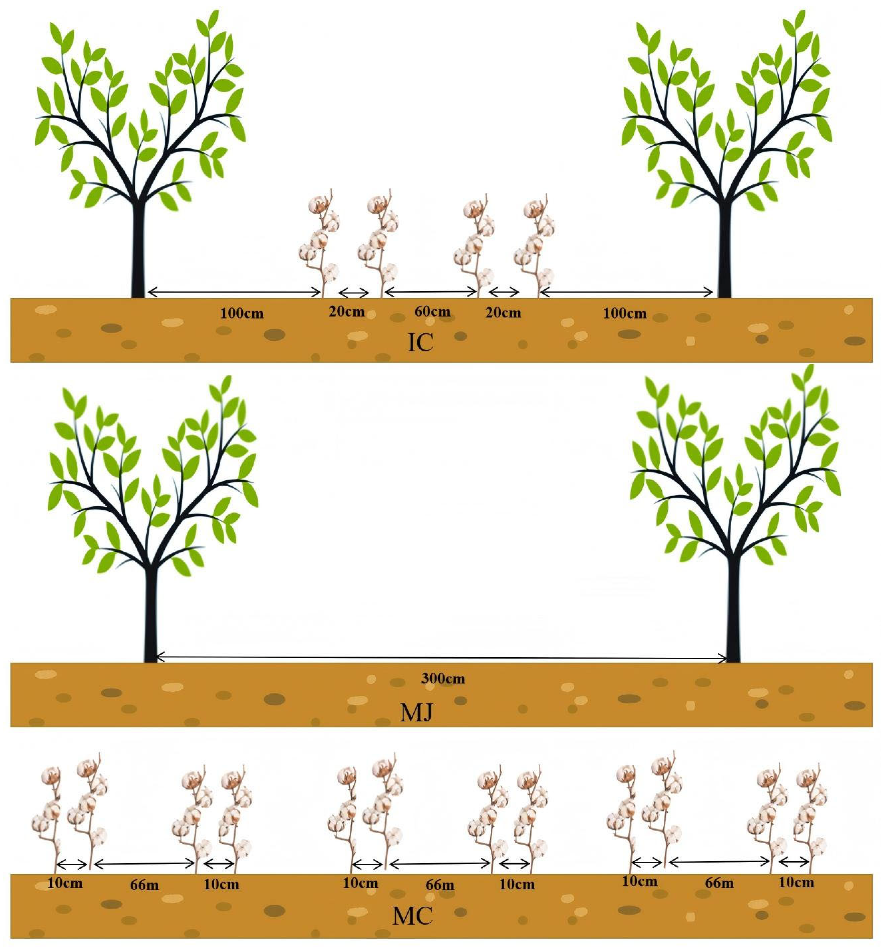 Agronomy 15 01676 g002