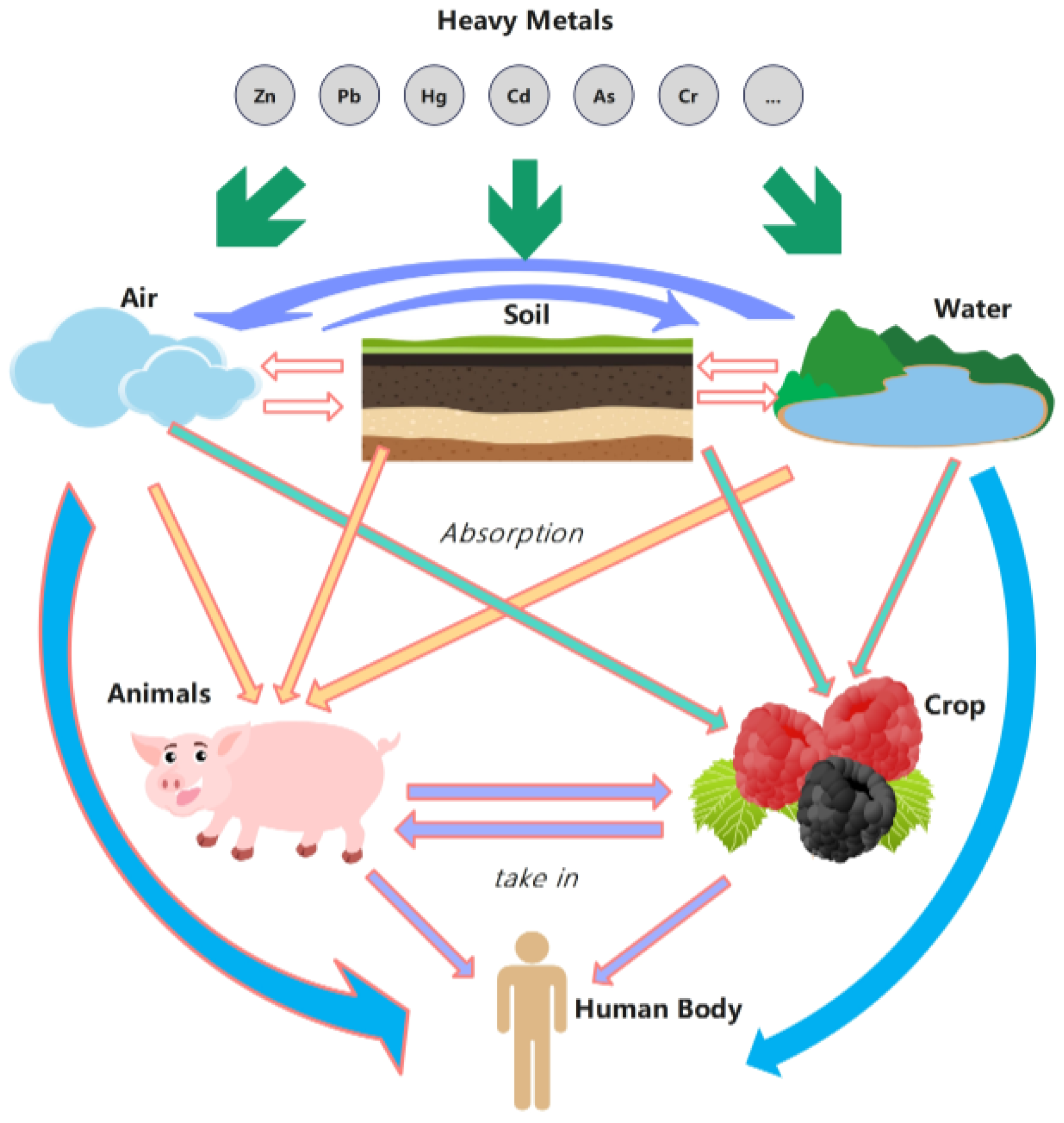 Agronomy 15 01678 g001