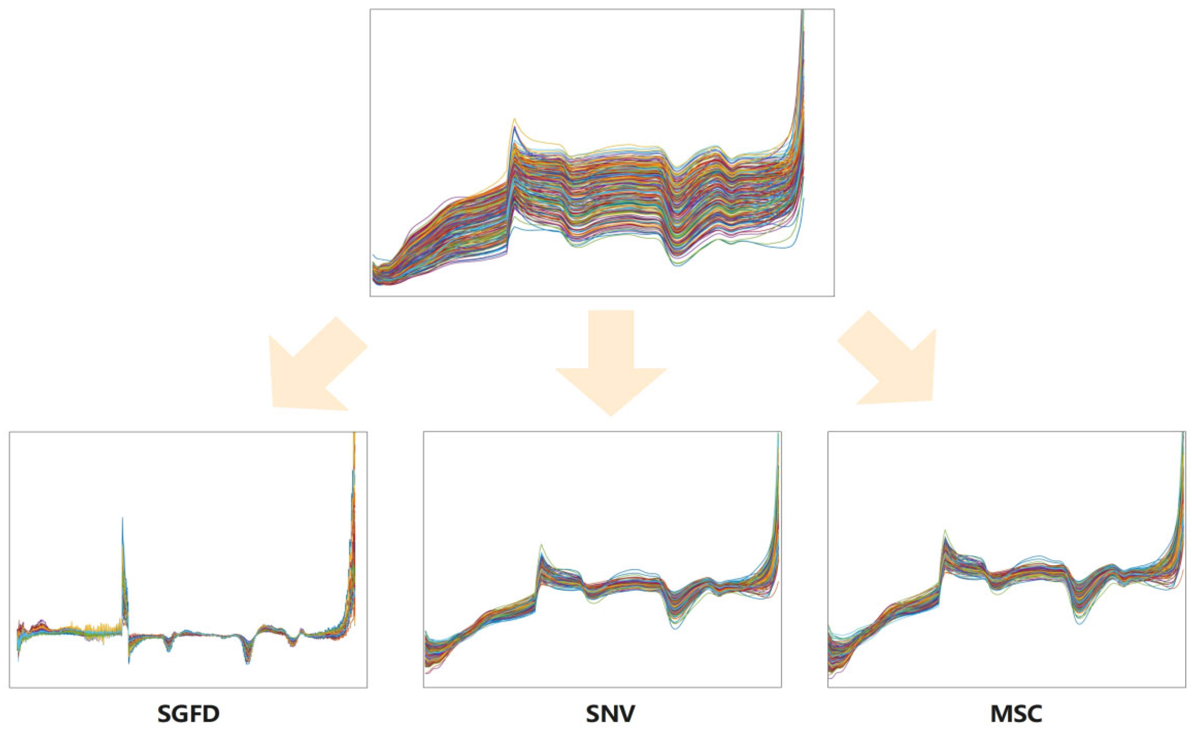 Agronomy 15 01678 g004