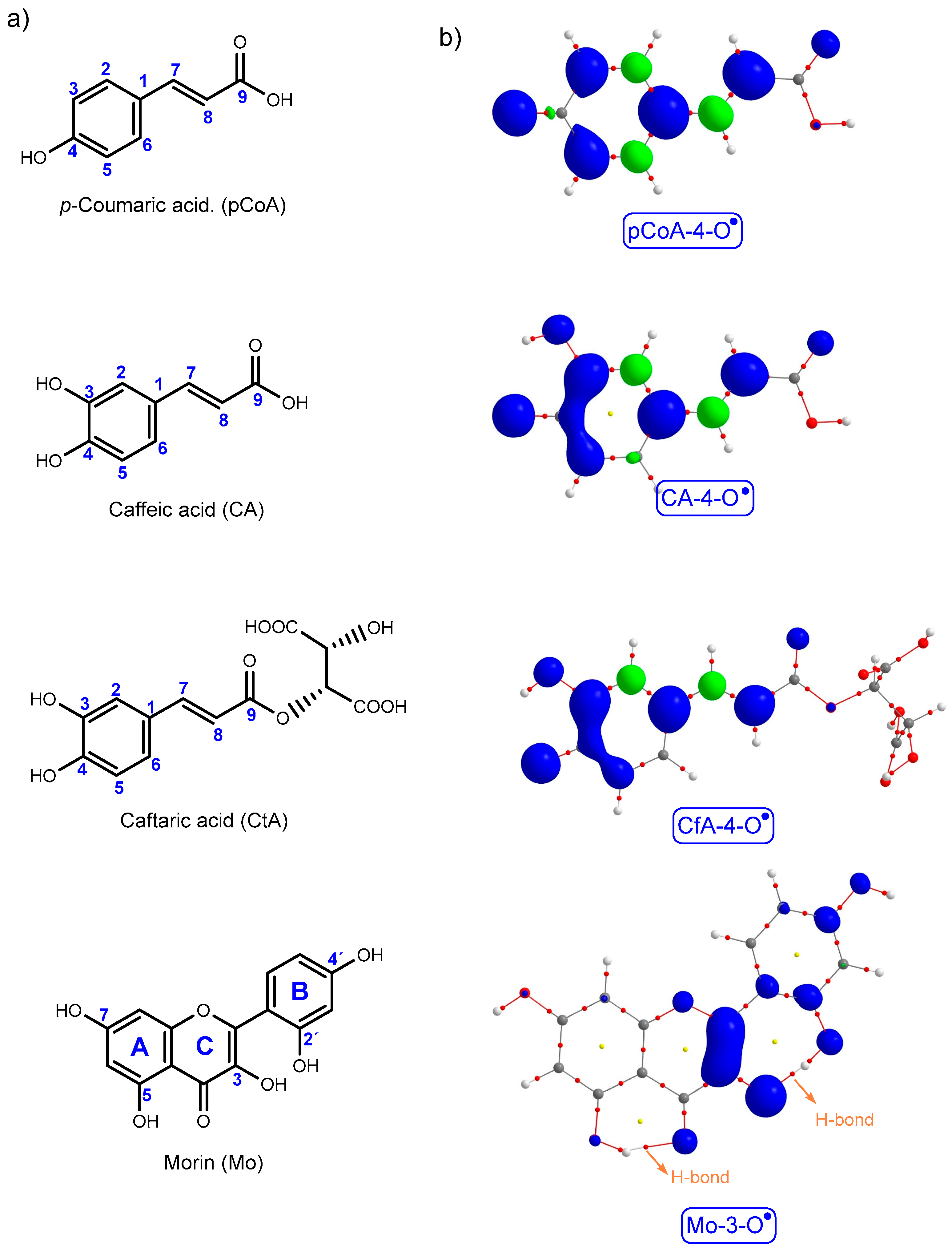 Agronomy 15 01681 g002