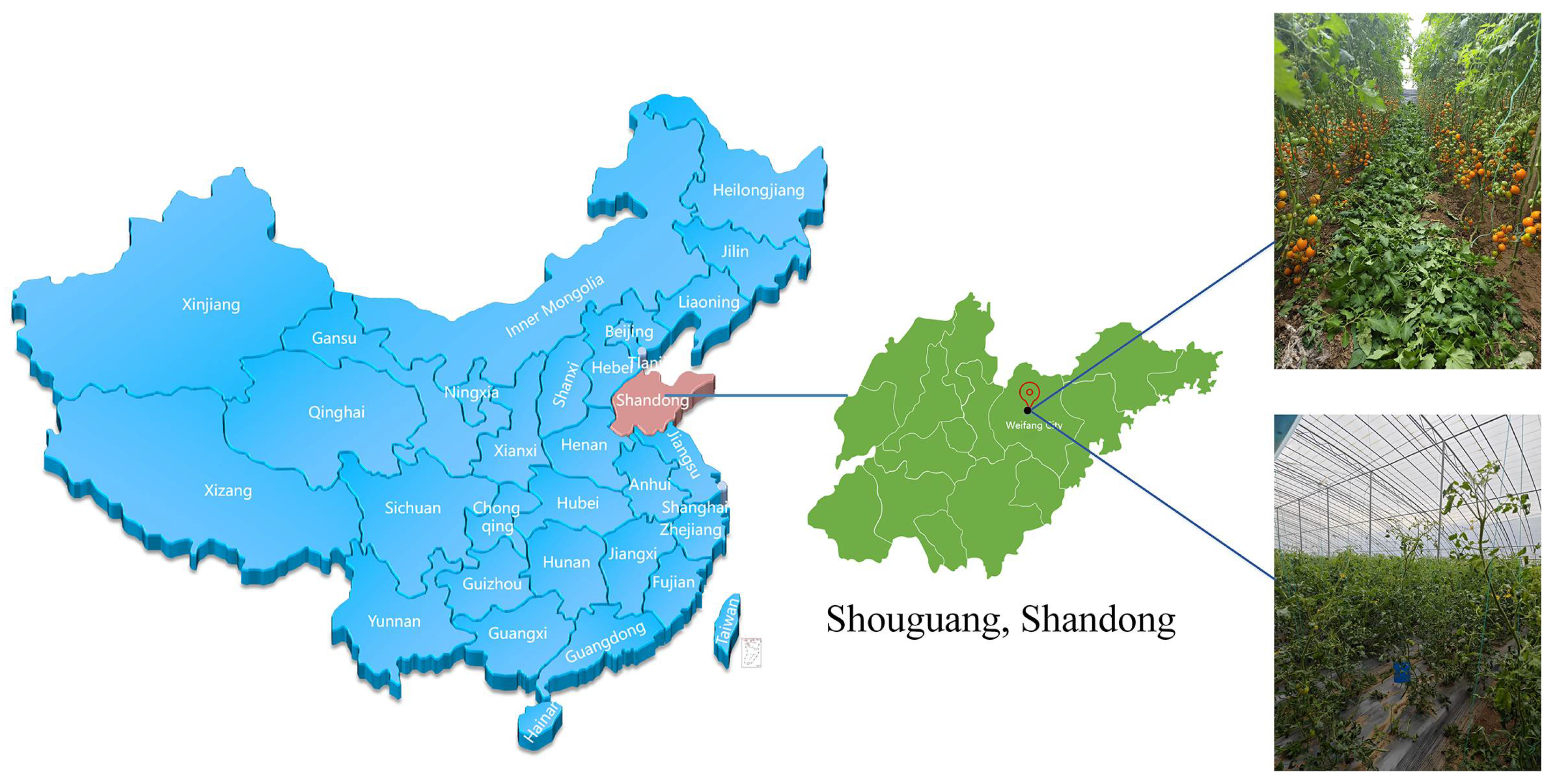 Agronomy 15 01687 g001