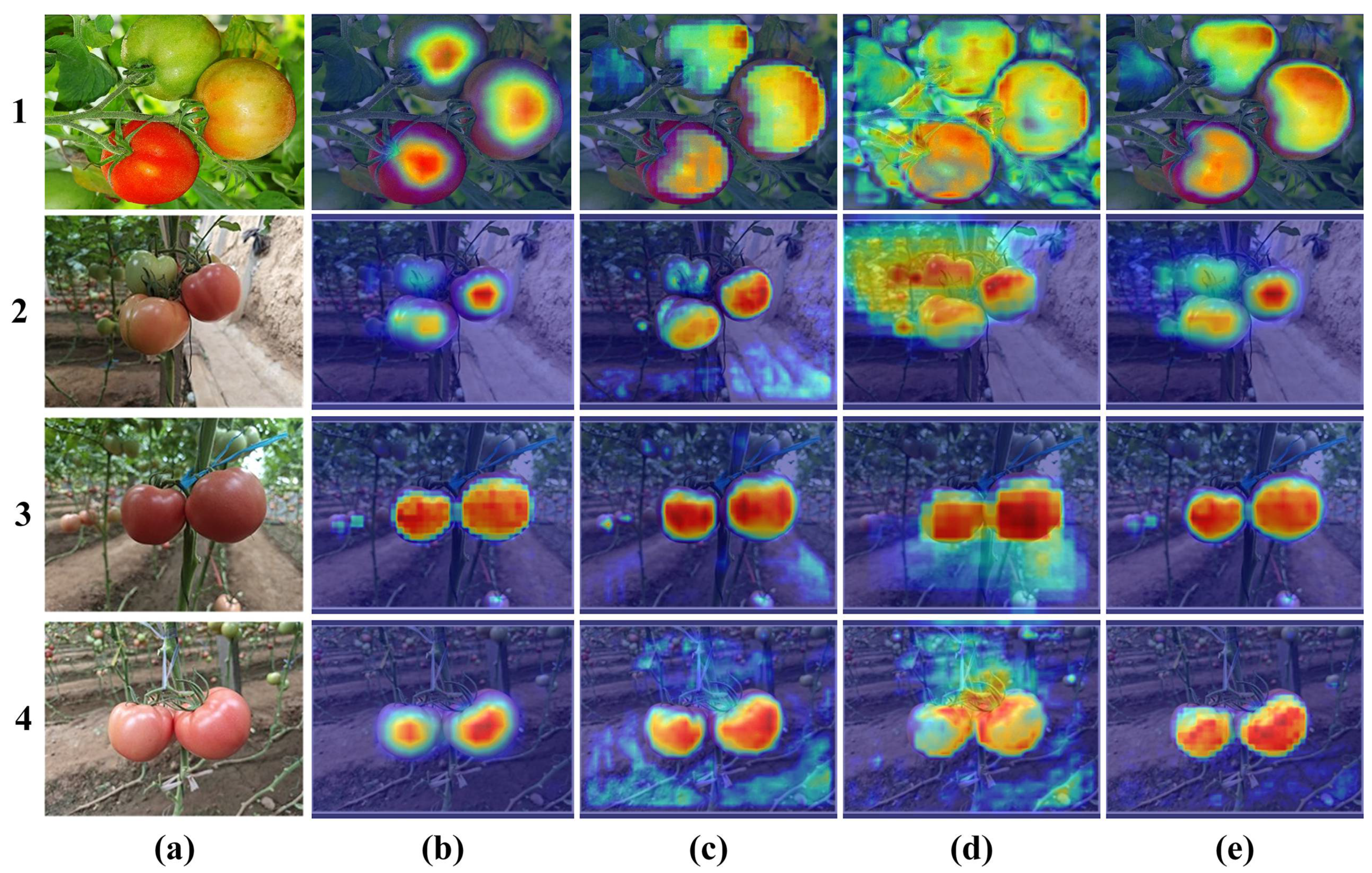 Agronomy 15 01687 g014