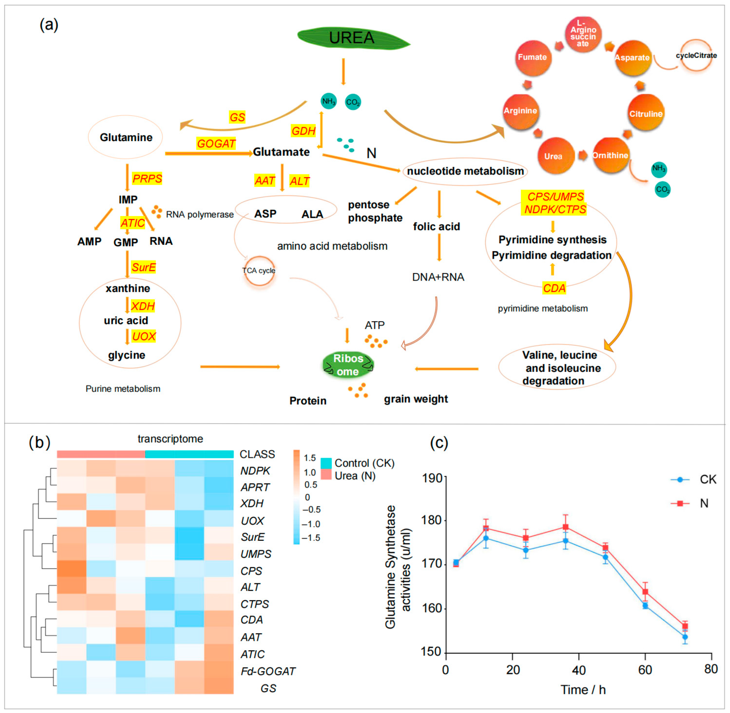 Agronomy 15 01688 g004