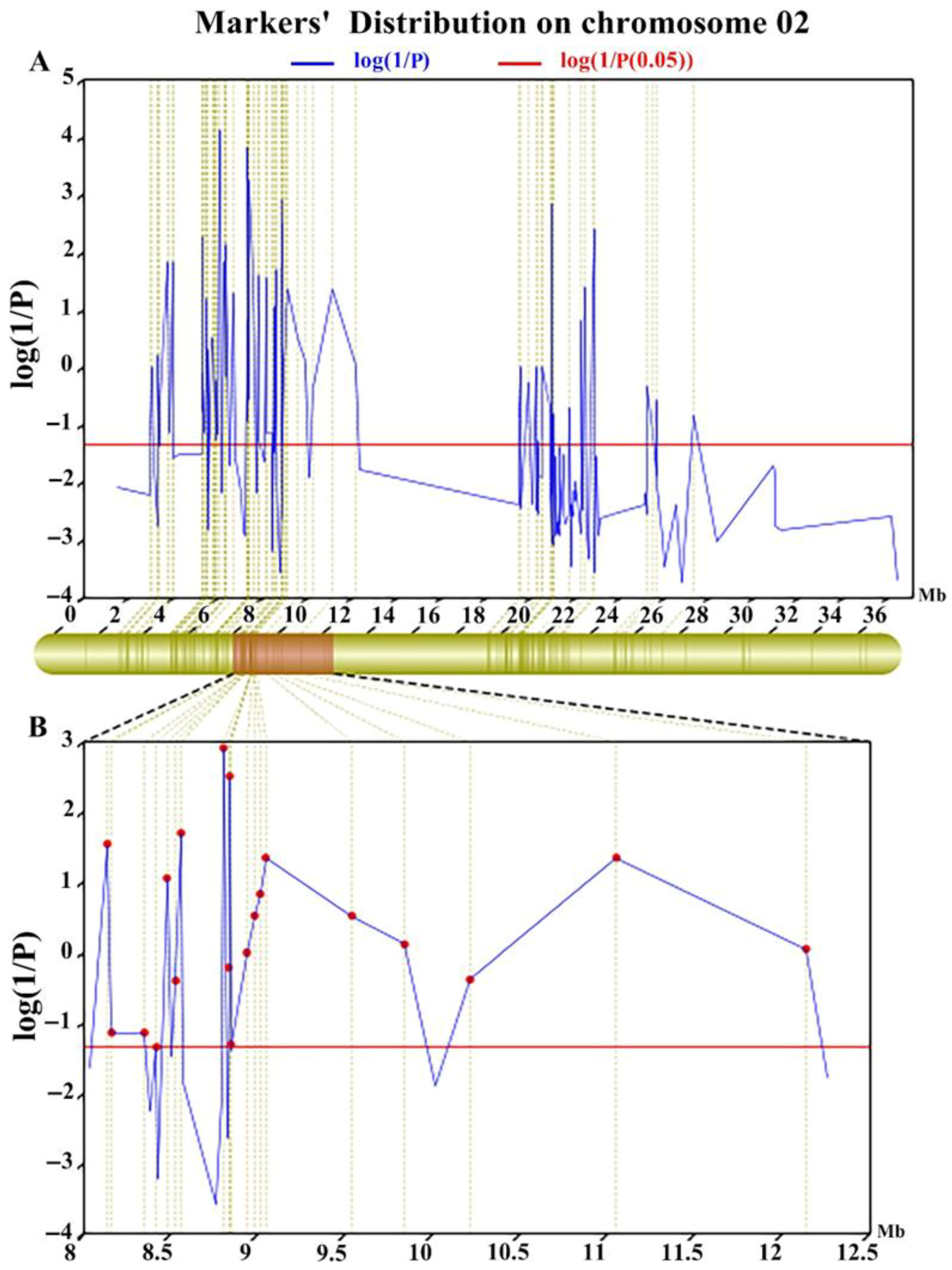 Agronomy 15 01690 g002