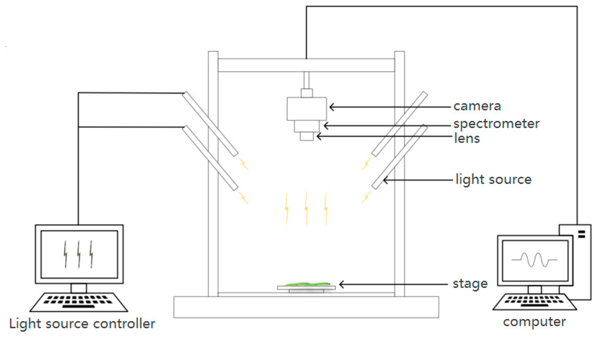 Agronomy 15 01691 g001