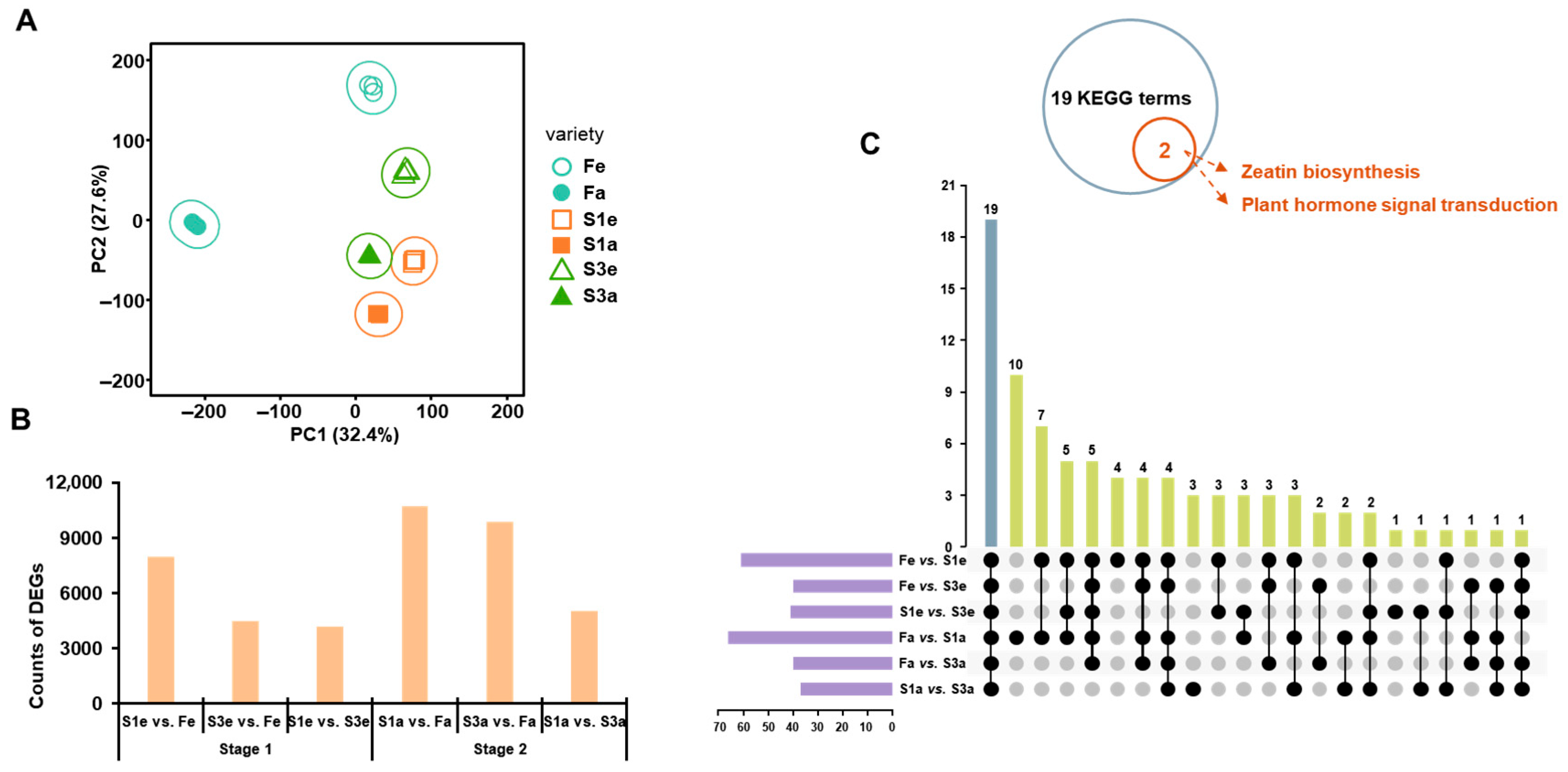 Agronomy 15 01694 g003