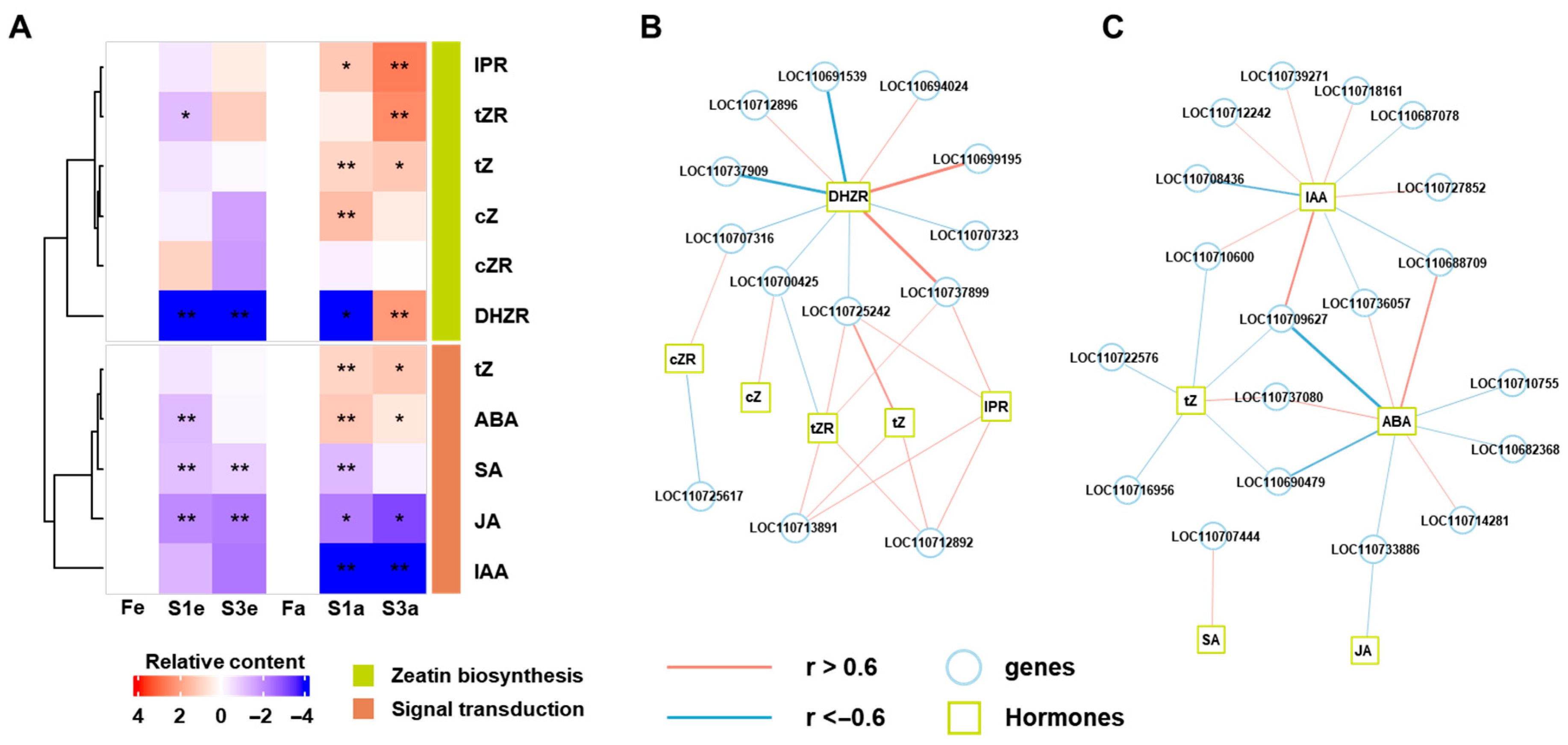 Agronomy 15 01694 g004