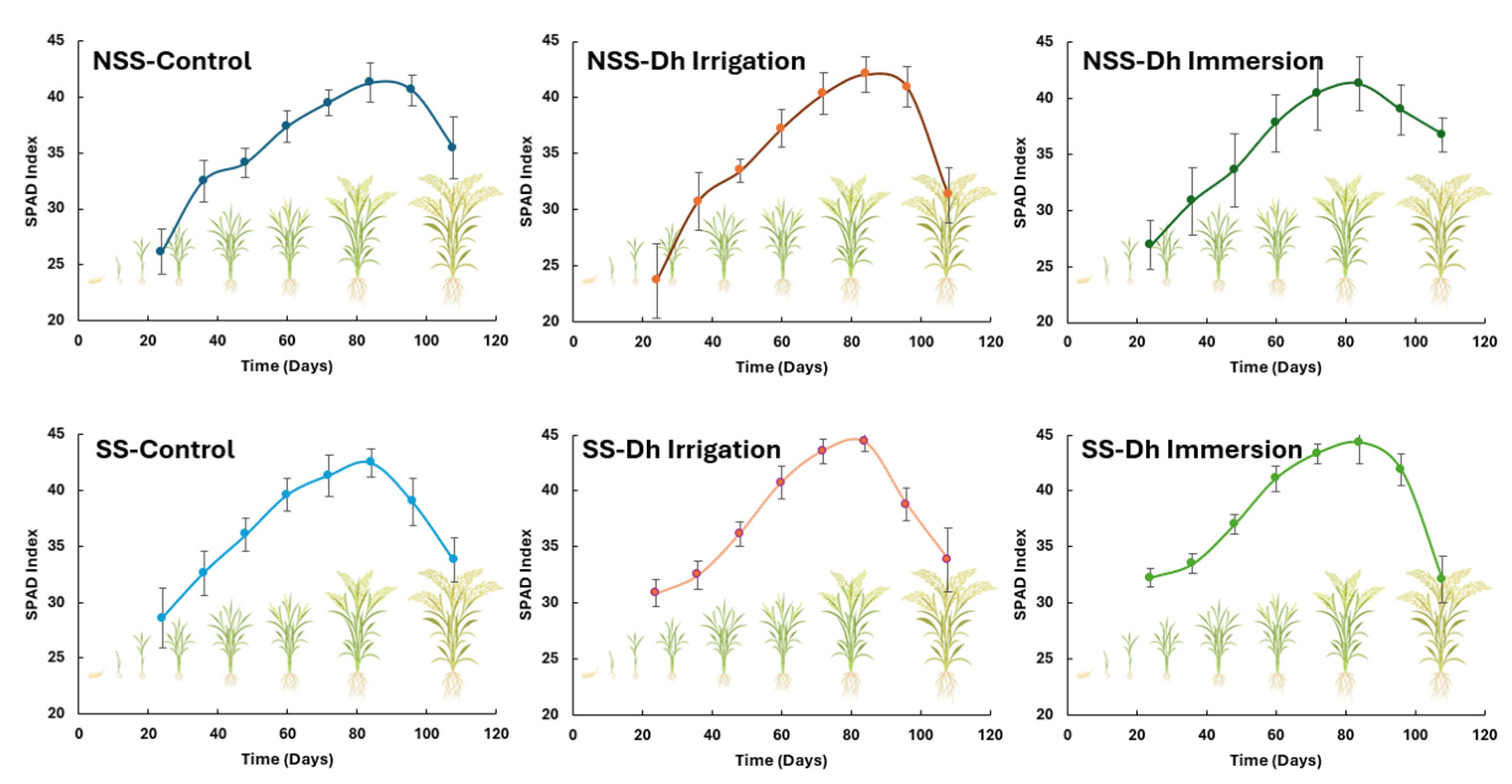 Agronomy 15 01696 g001