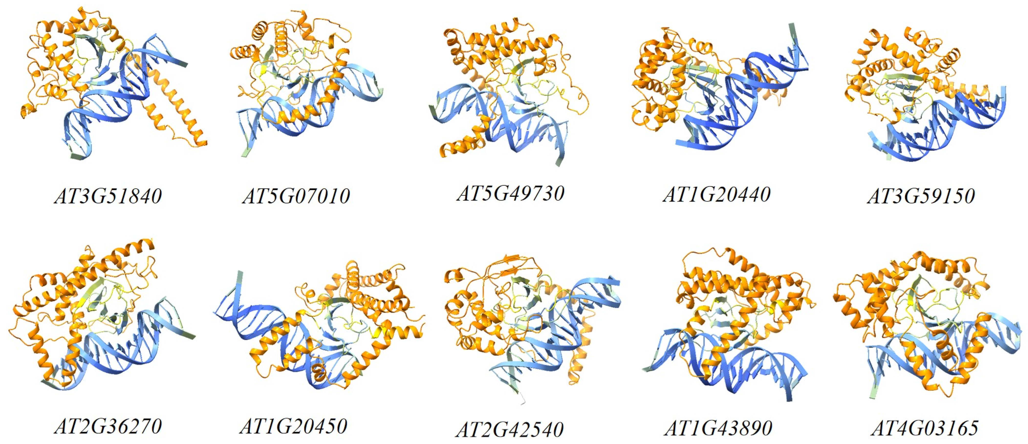 Agronomy 15 01700 g004