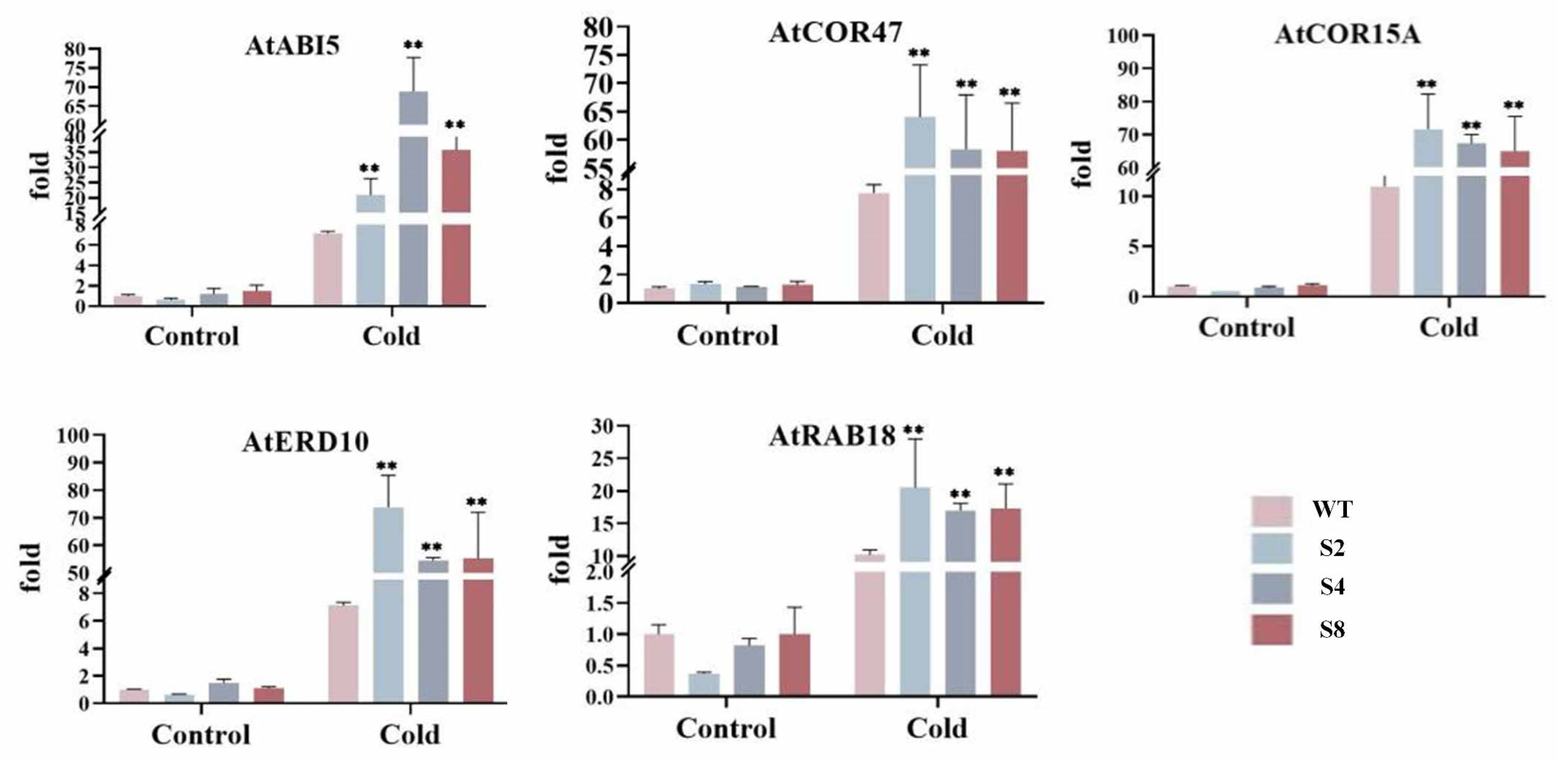 Agronomy 15 01700 g005