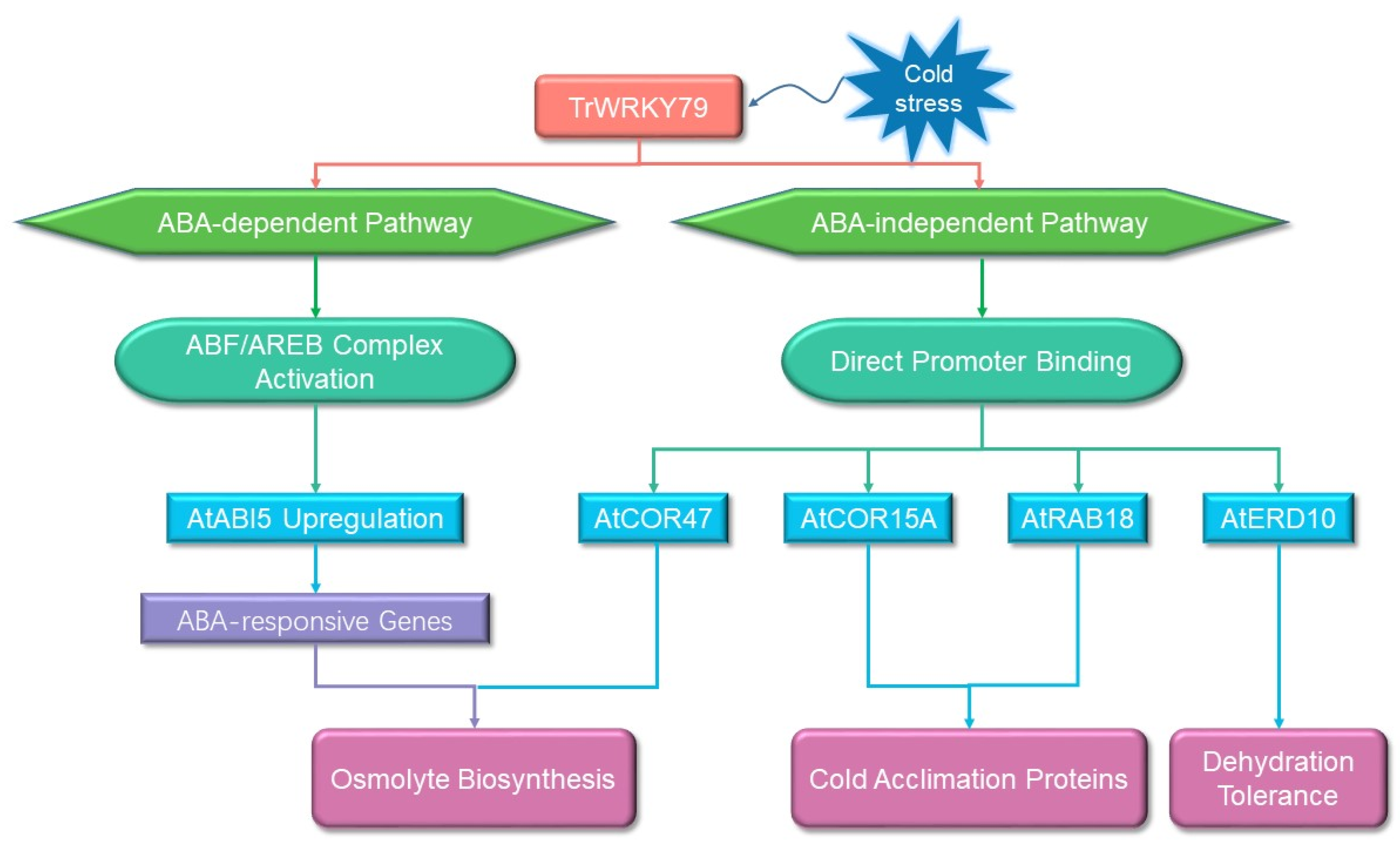 Agronomy 15 01700 g006