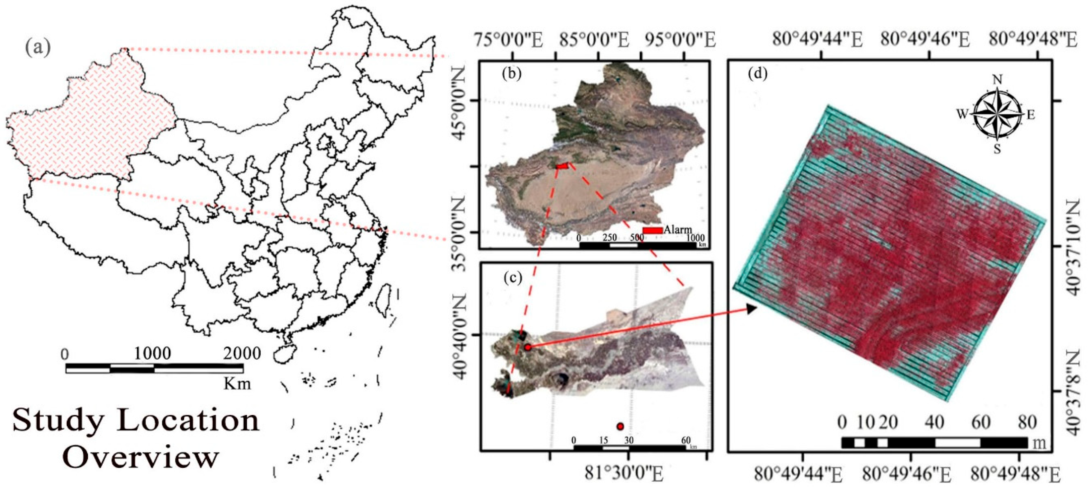 Agronomy 15 01701 g001