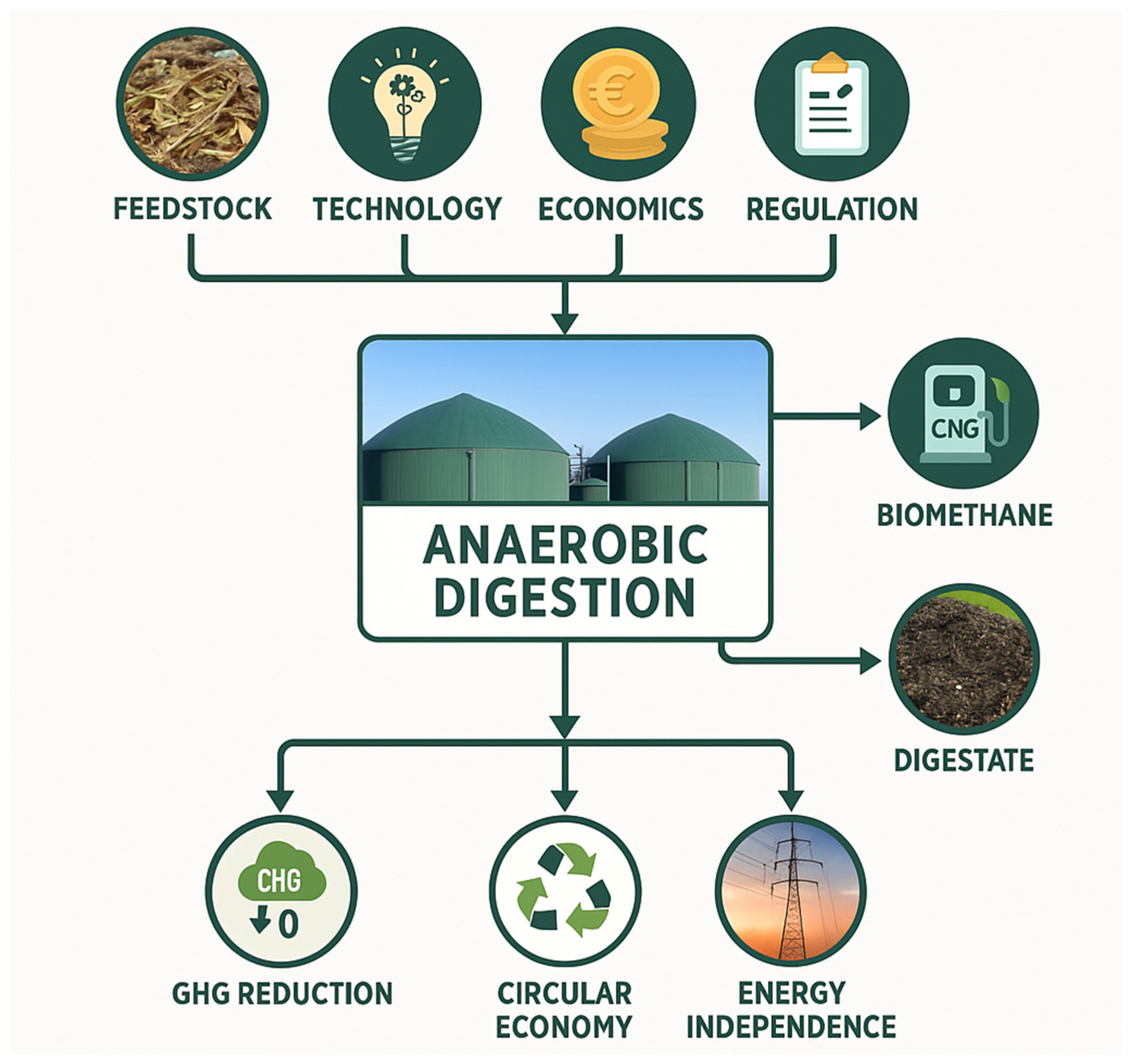 Agronomy 15 01702 g003