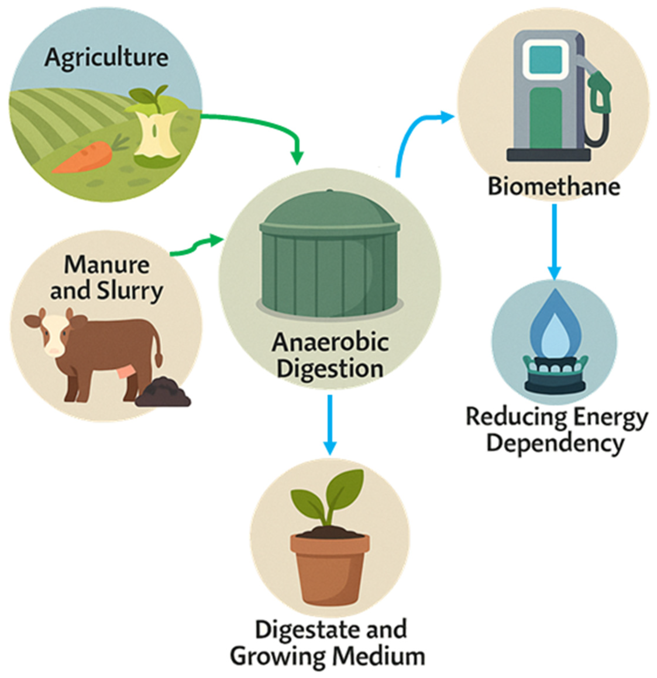Agronomy 15 01702 g004