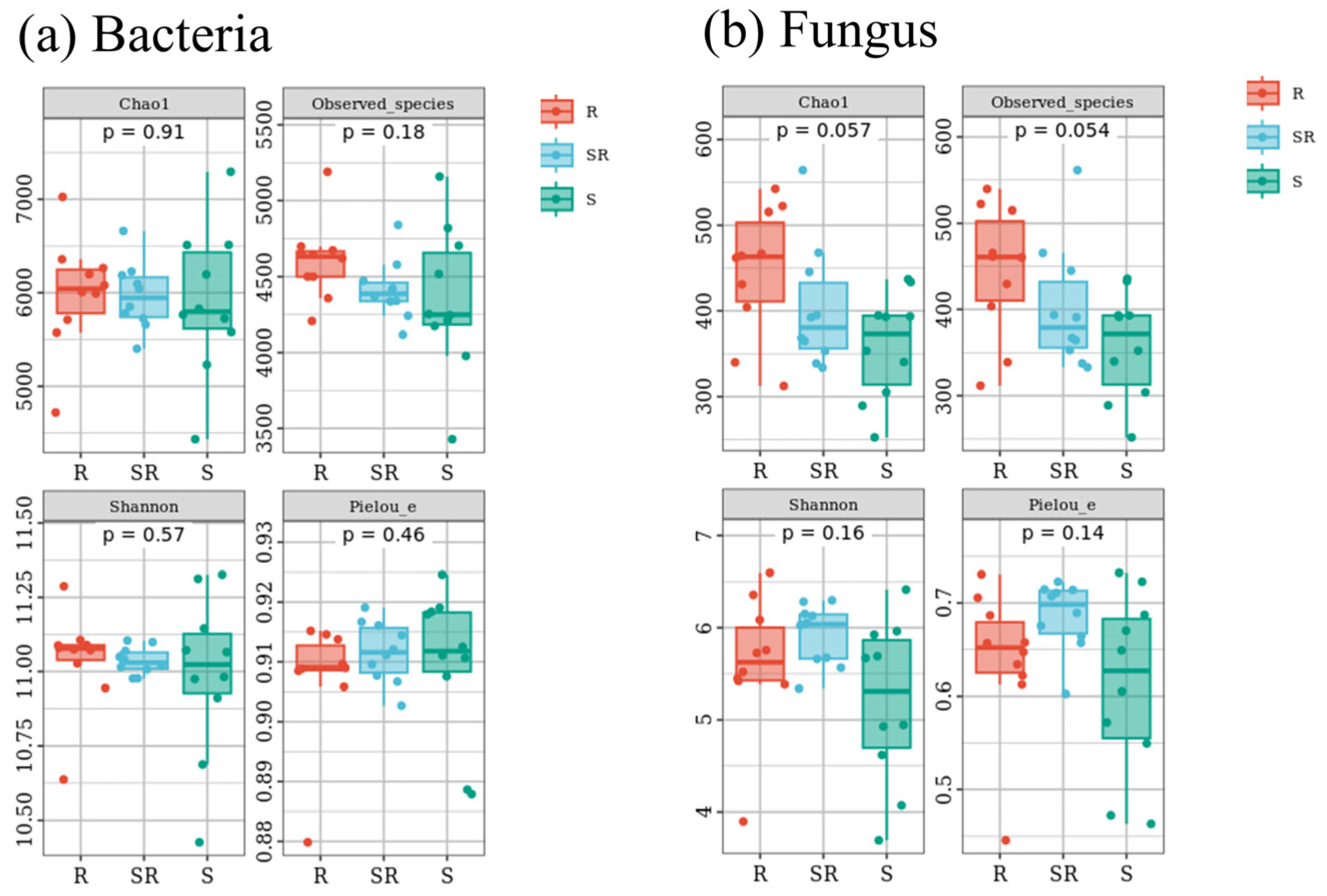 Agronomy 15 01705 g001