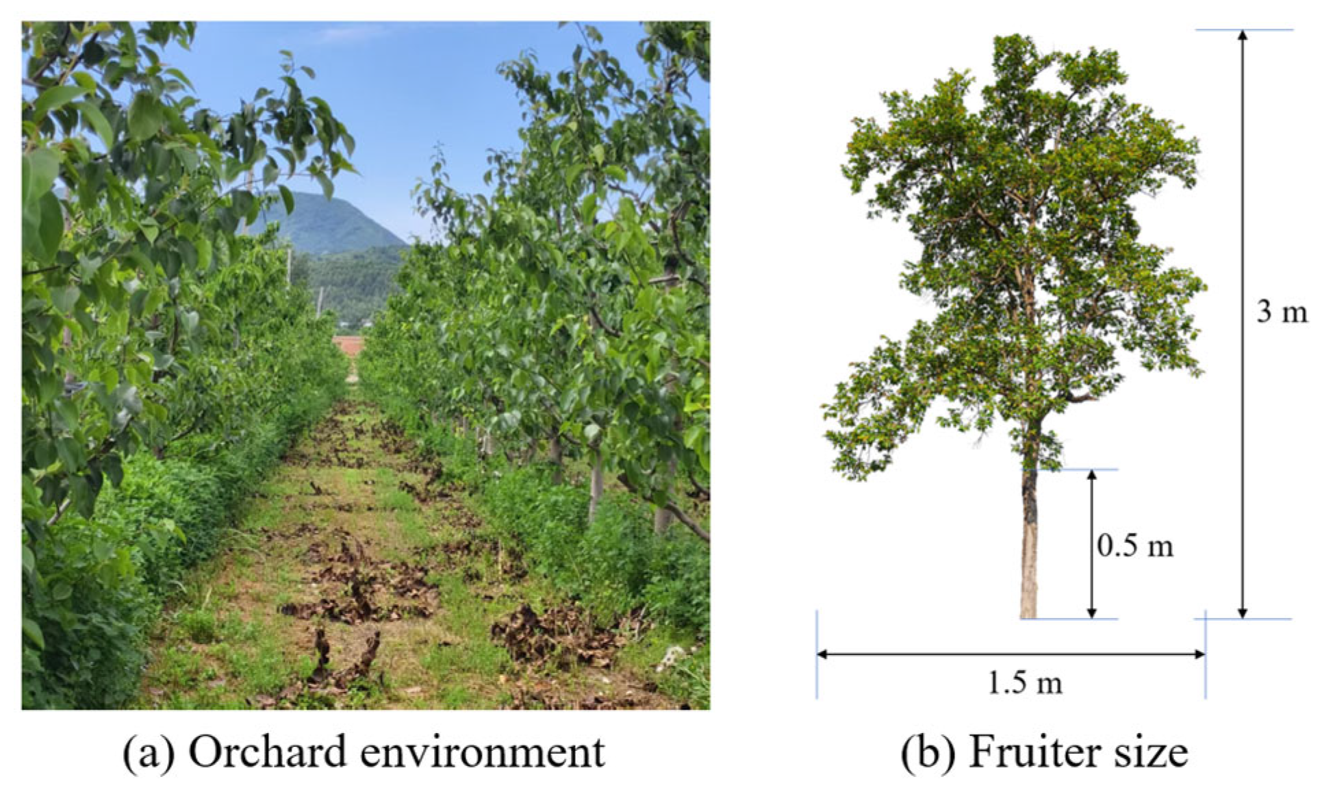 Agronomy 15 01706 g002