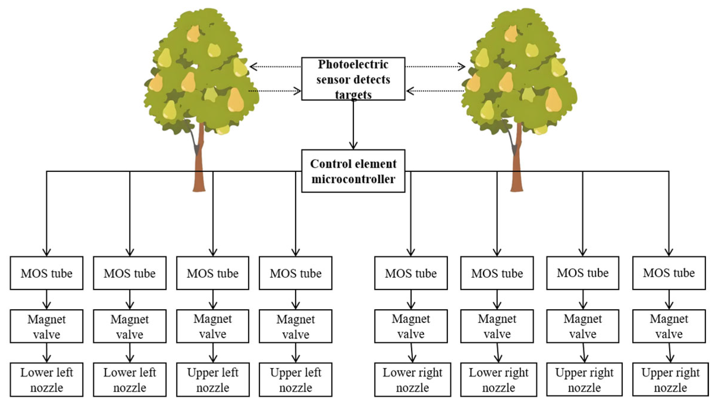 Agronomy 15 01706 g007