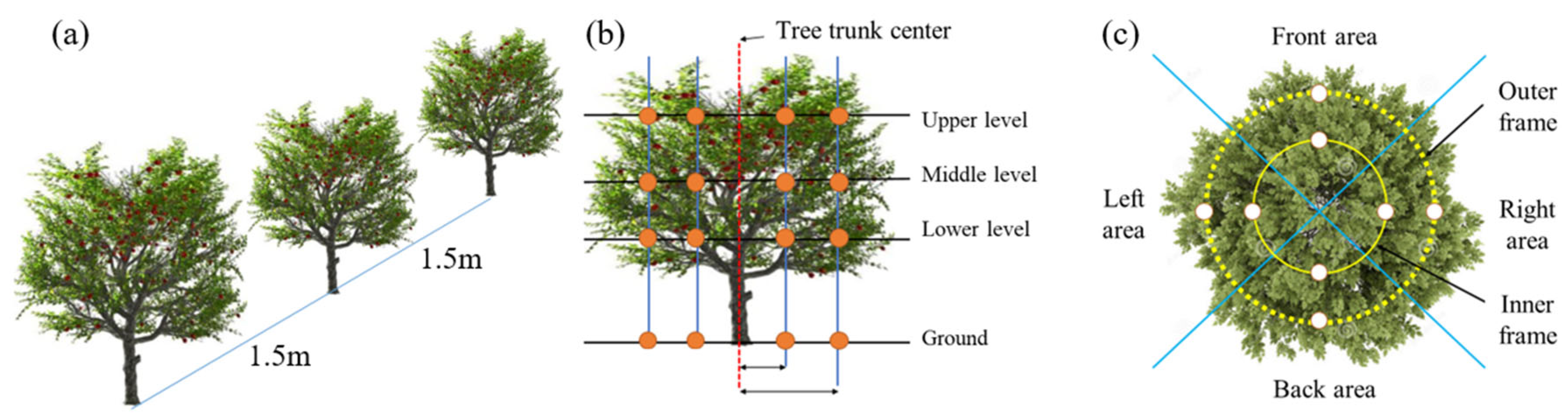 Agronomy 15 01706 g012