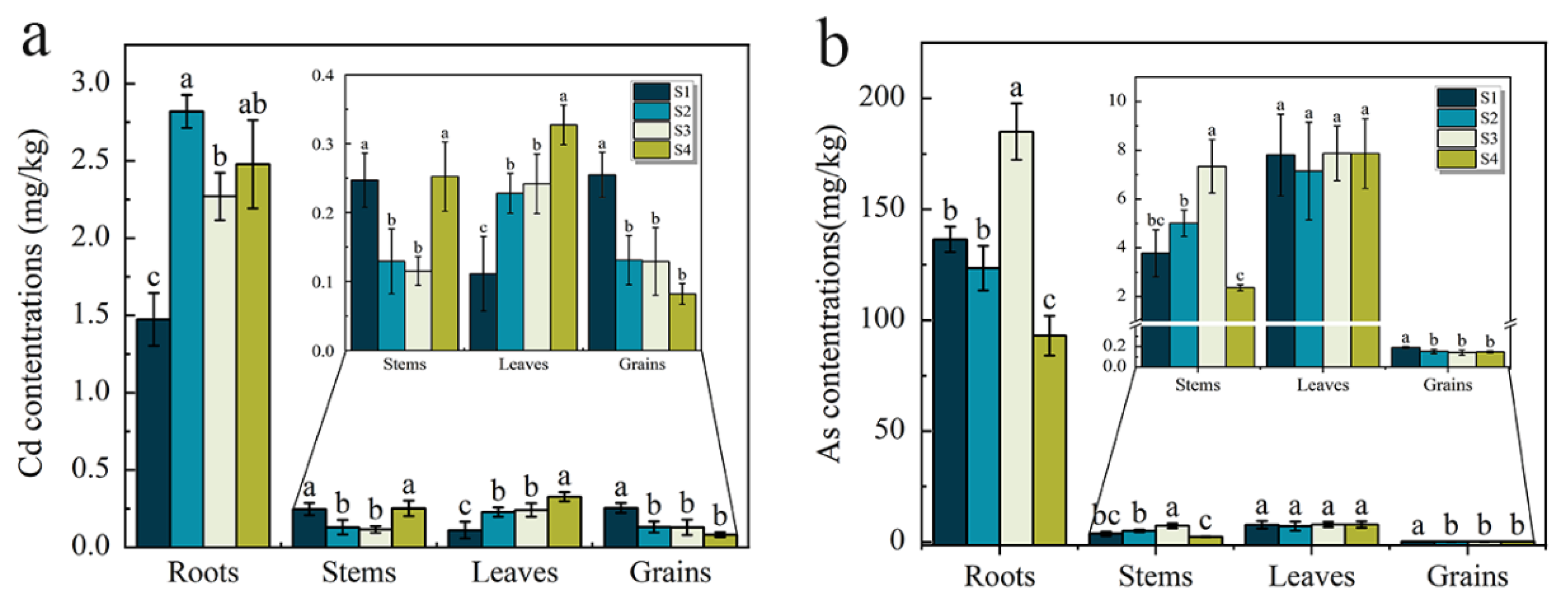 Agronomy 15 01710 g004