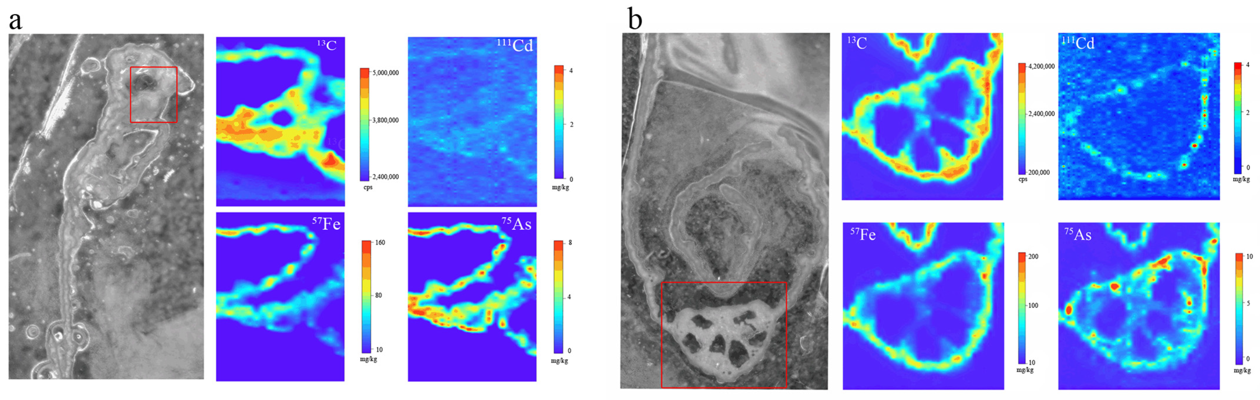 Agronomy 15 01710 g008