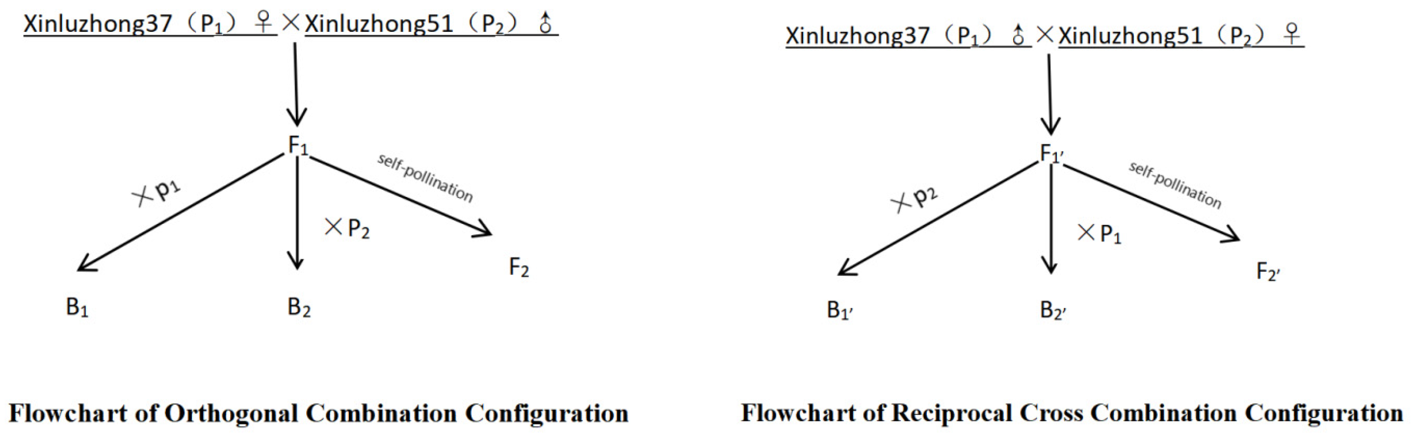 Agronomy 15 01713 g001