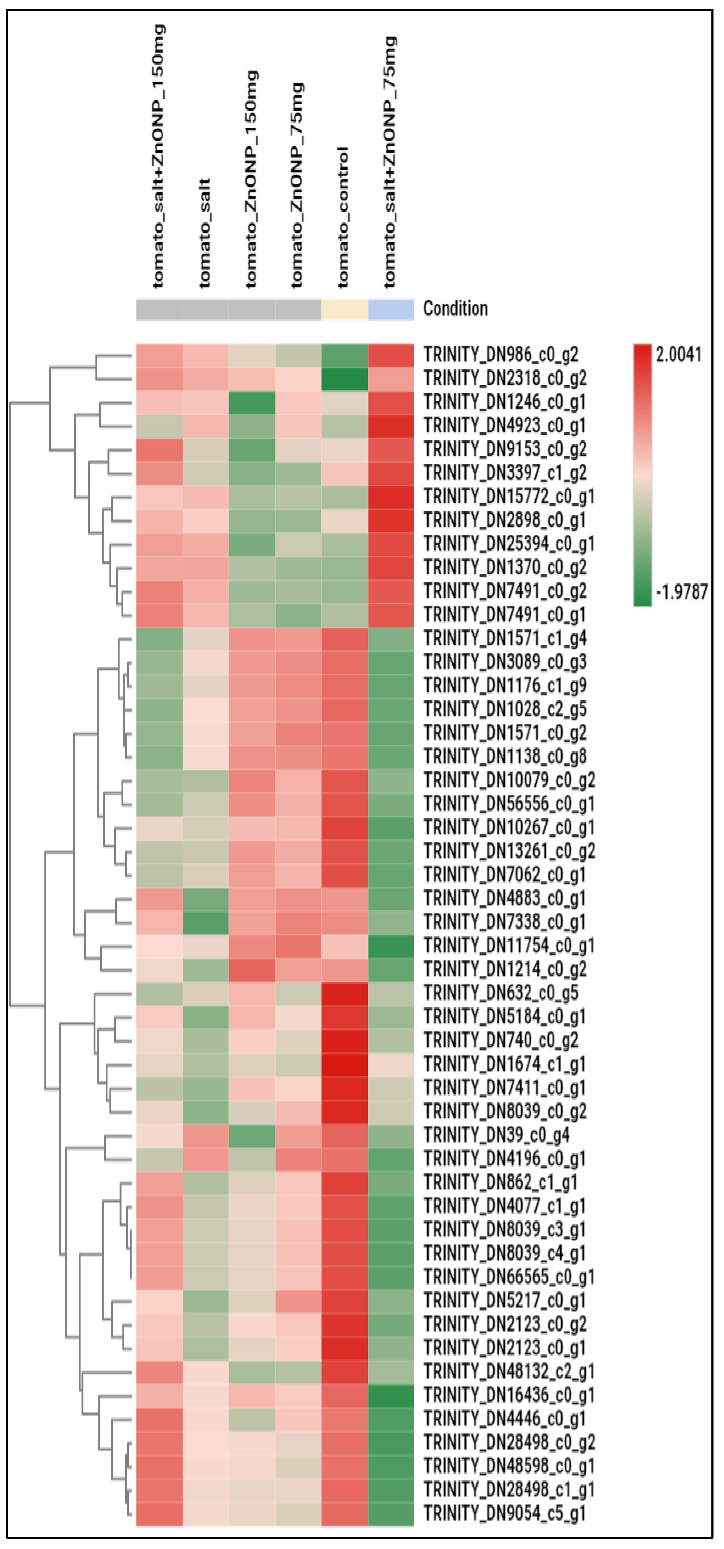 Agronomy 15 01715 g008