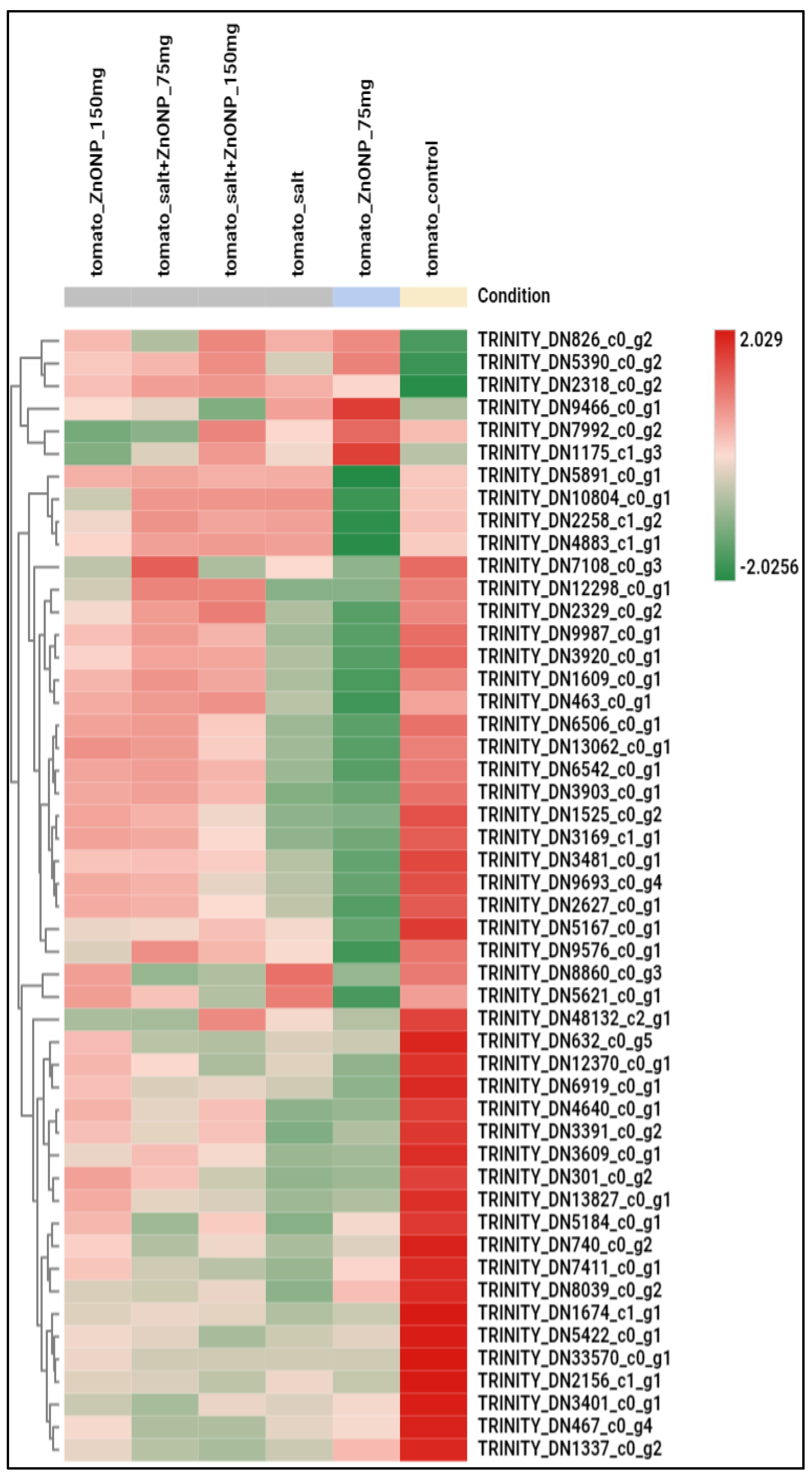 Agronomy 15 01715 g010