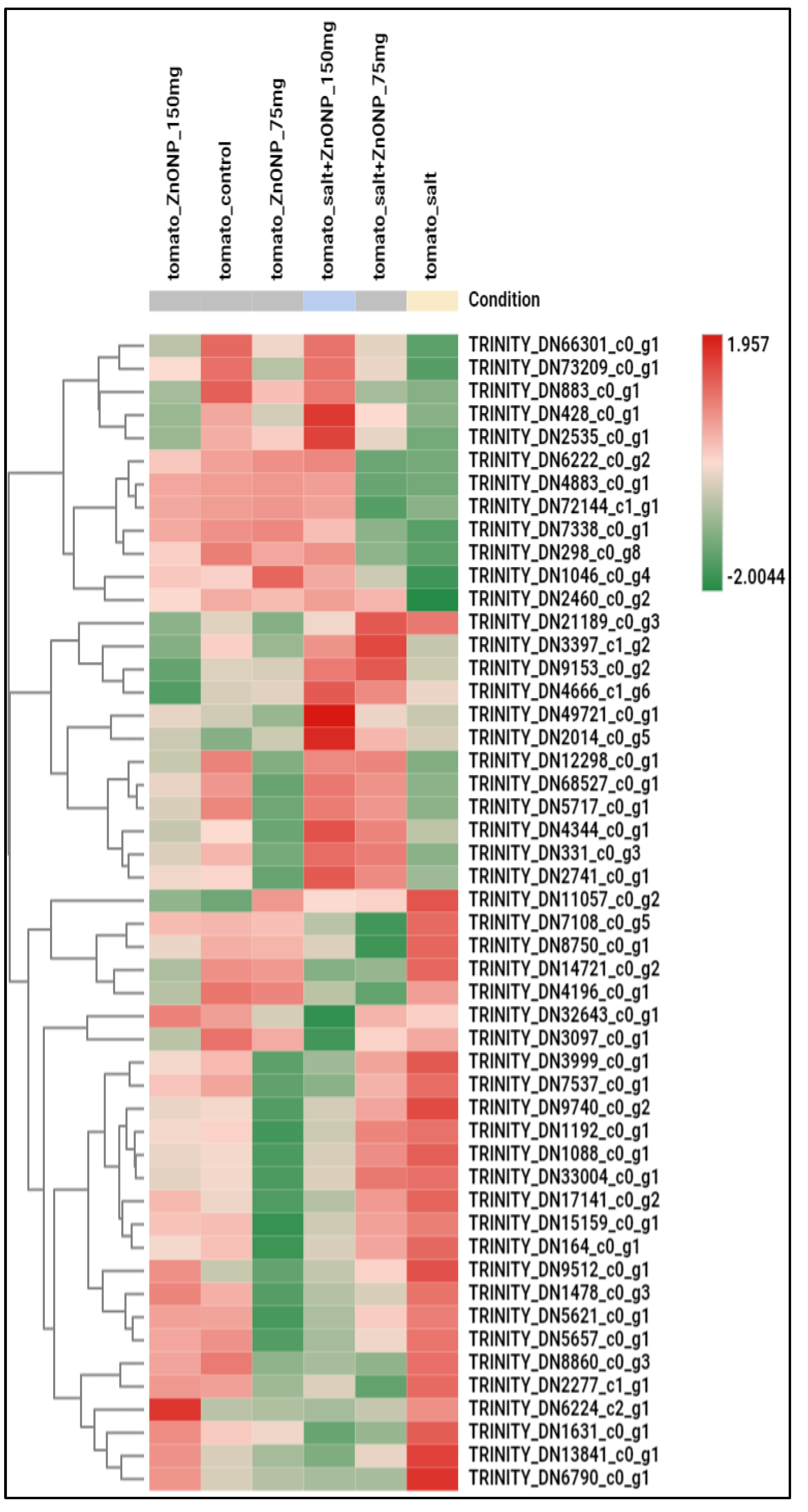 Agronomy 15 01715 g013