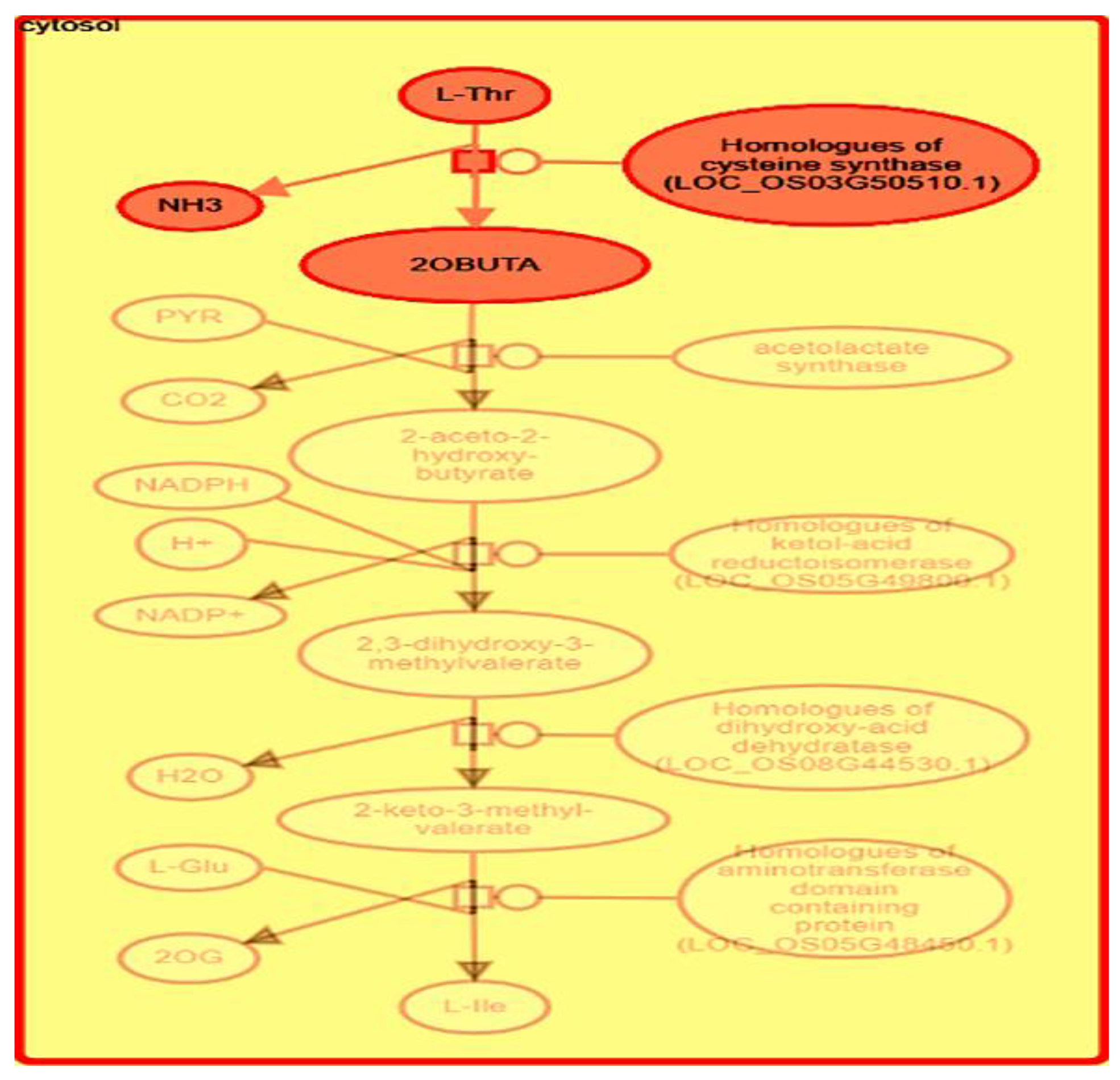 Agronomy 15 01715 g015