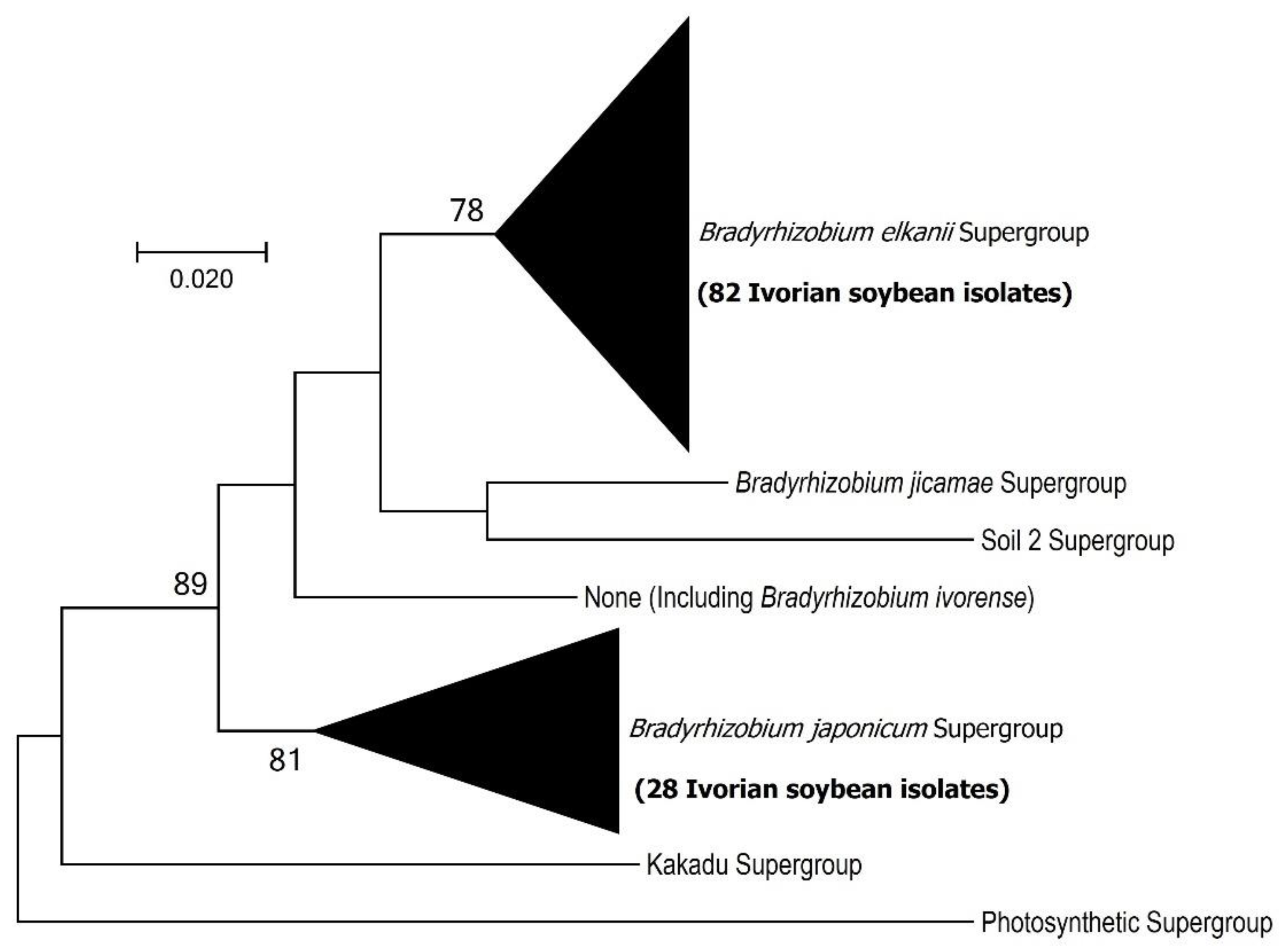 Agronomy 15 01720 g004 Agronomy 15 01720 g004