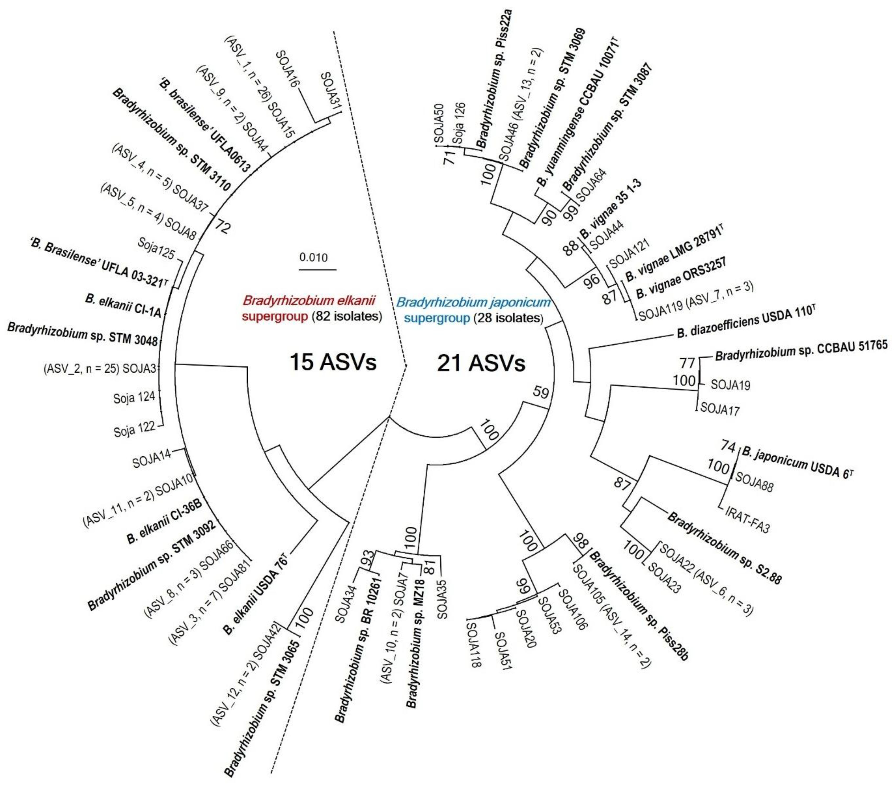 Agronomy 15 01720 g005 Agronomy 15 01720 g005