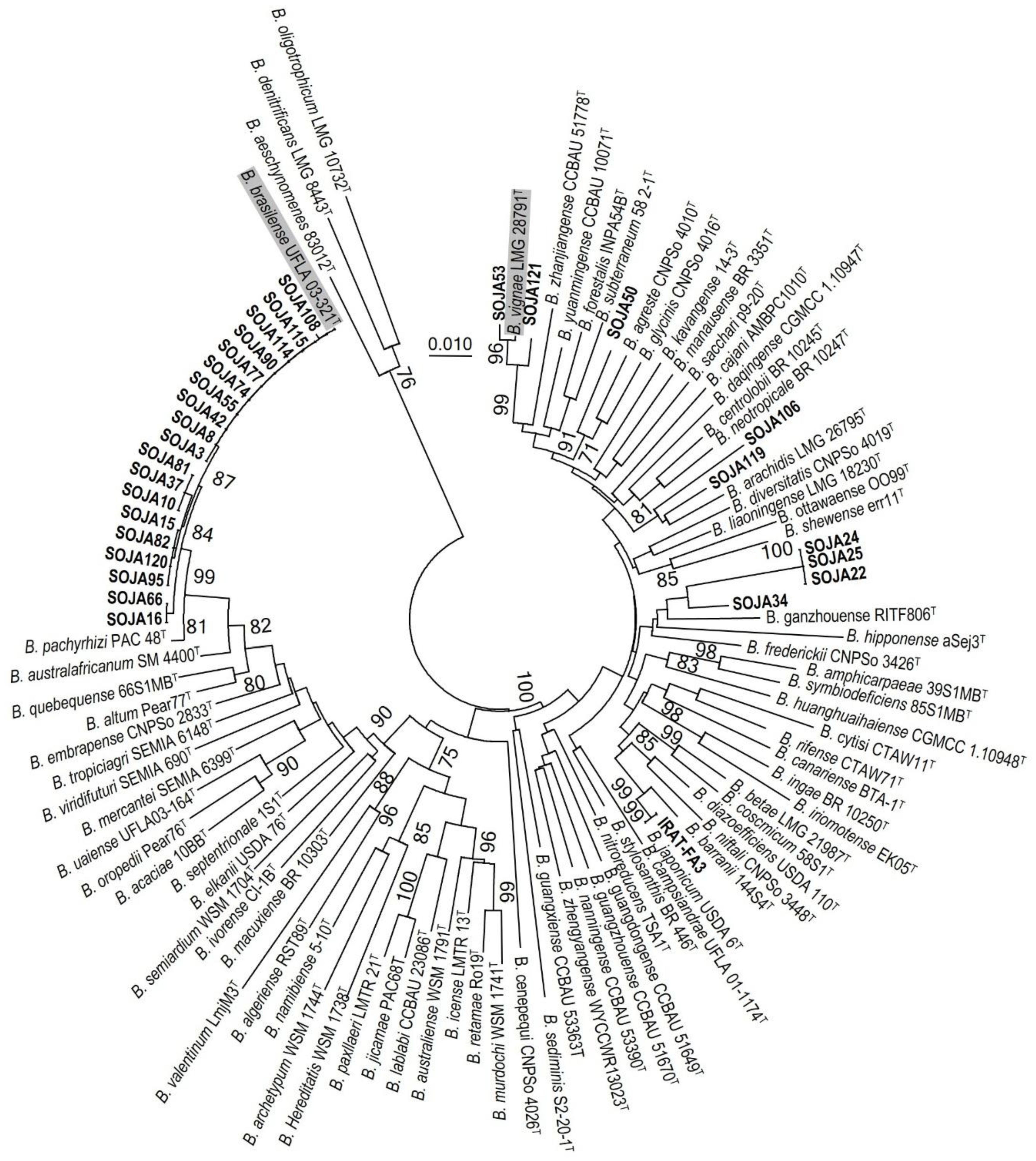 Agronomy 15 01720 g006 Agronomy 15 01720 g006