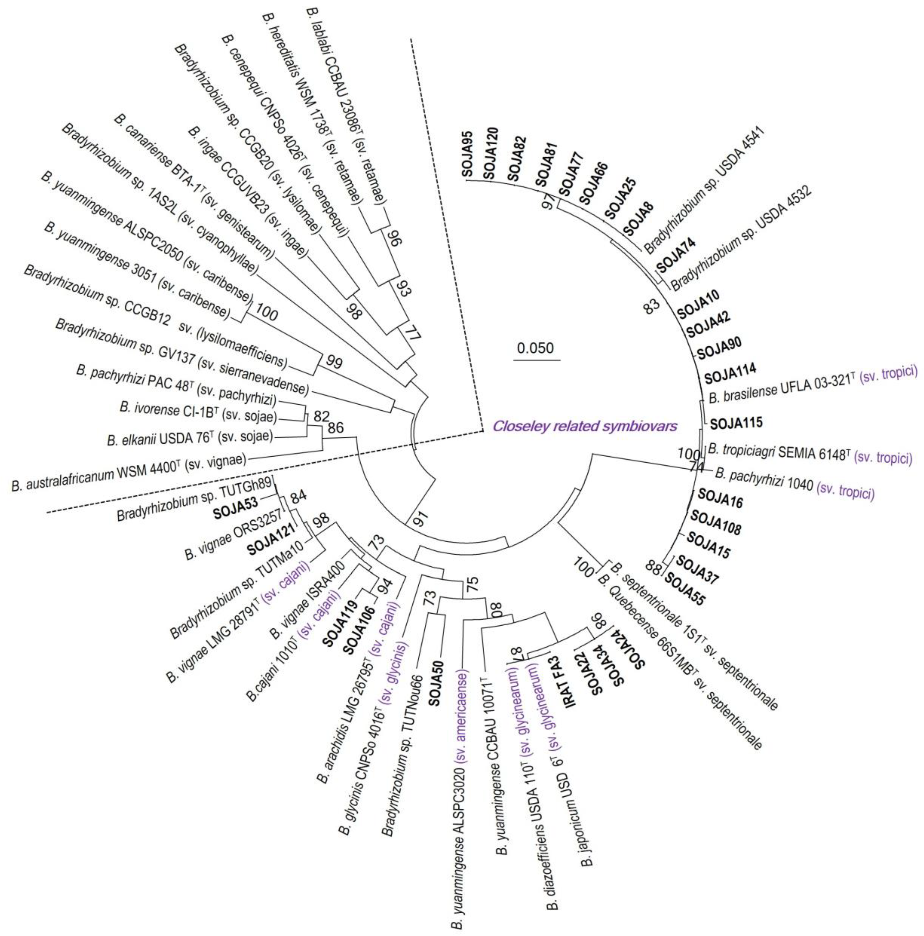 Agronomy 15 01720 g007 Agronomy 15 01720 g007