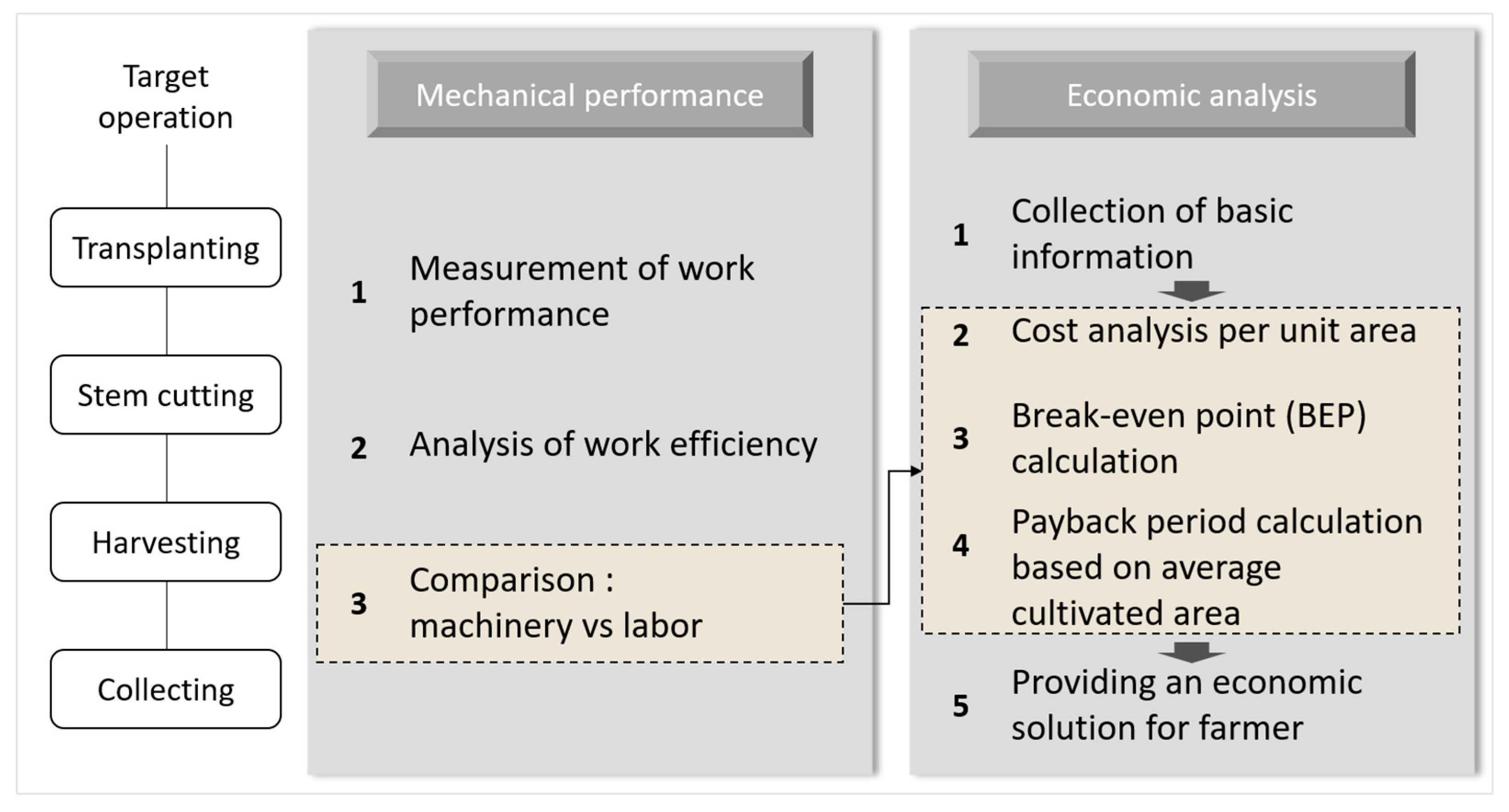 Agronomy 15 01721 g001