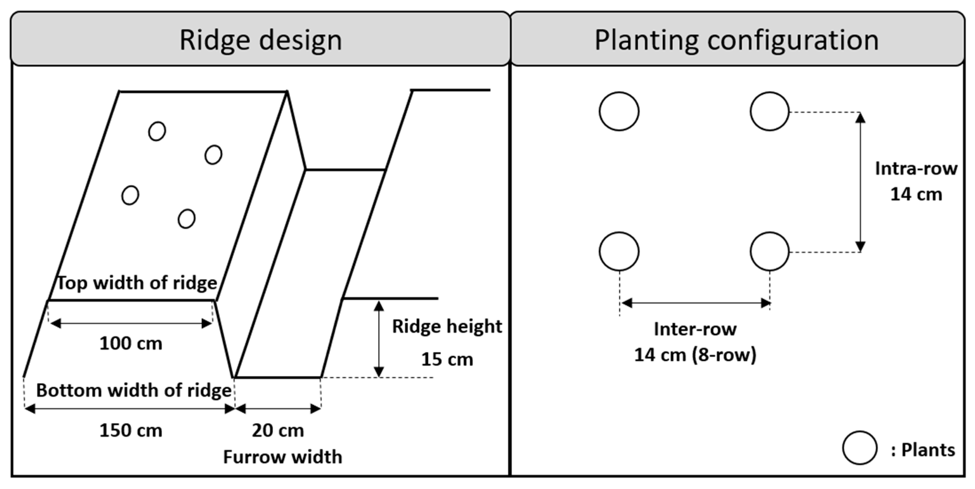 Agronomy 15 01721 g002